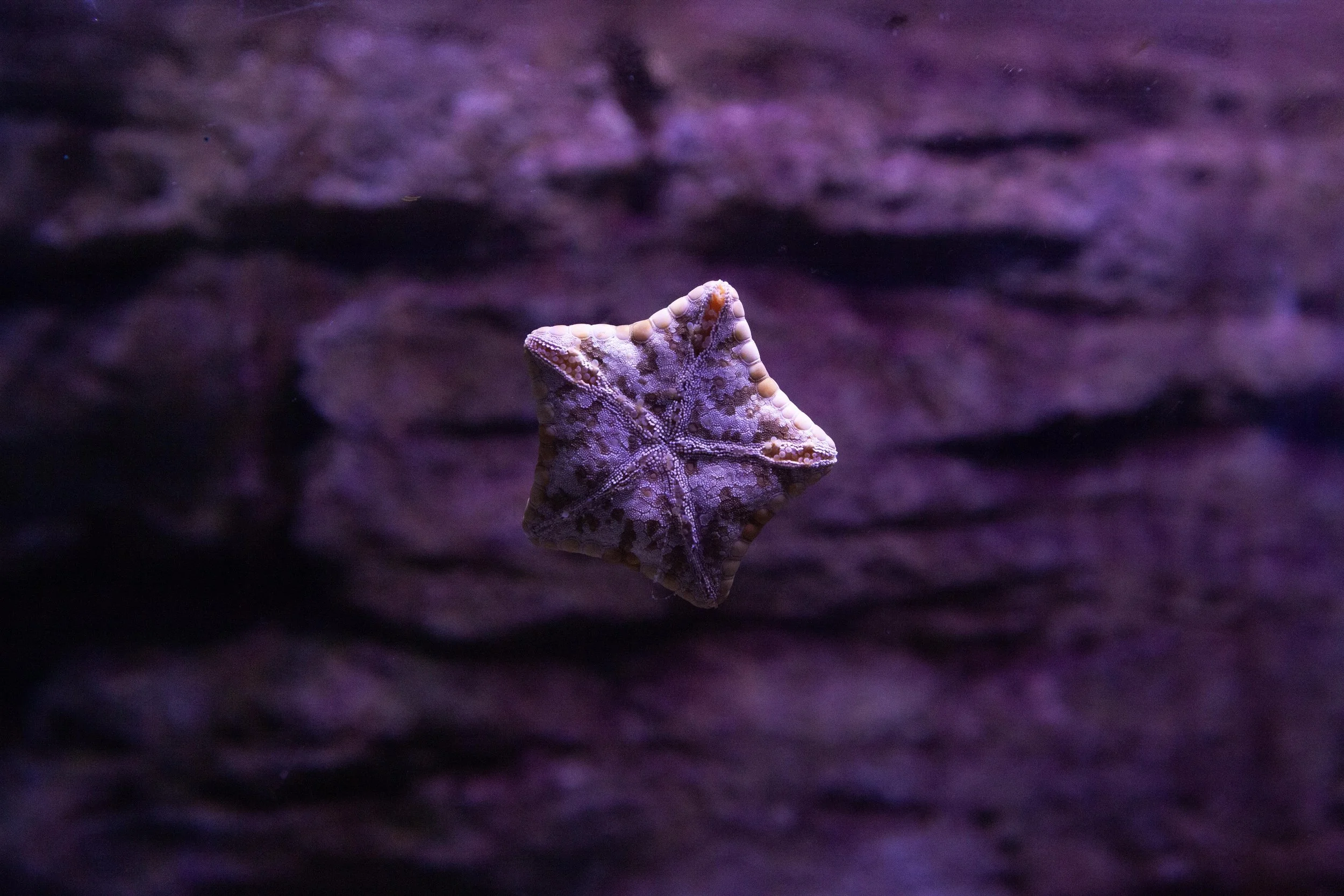 Zoo © Nora Verbraak_MG_6091.jpg