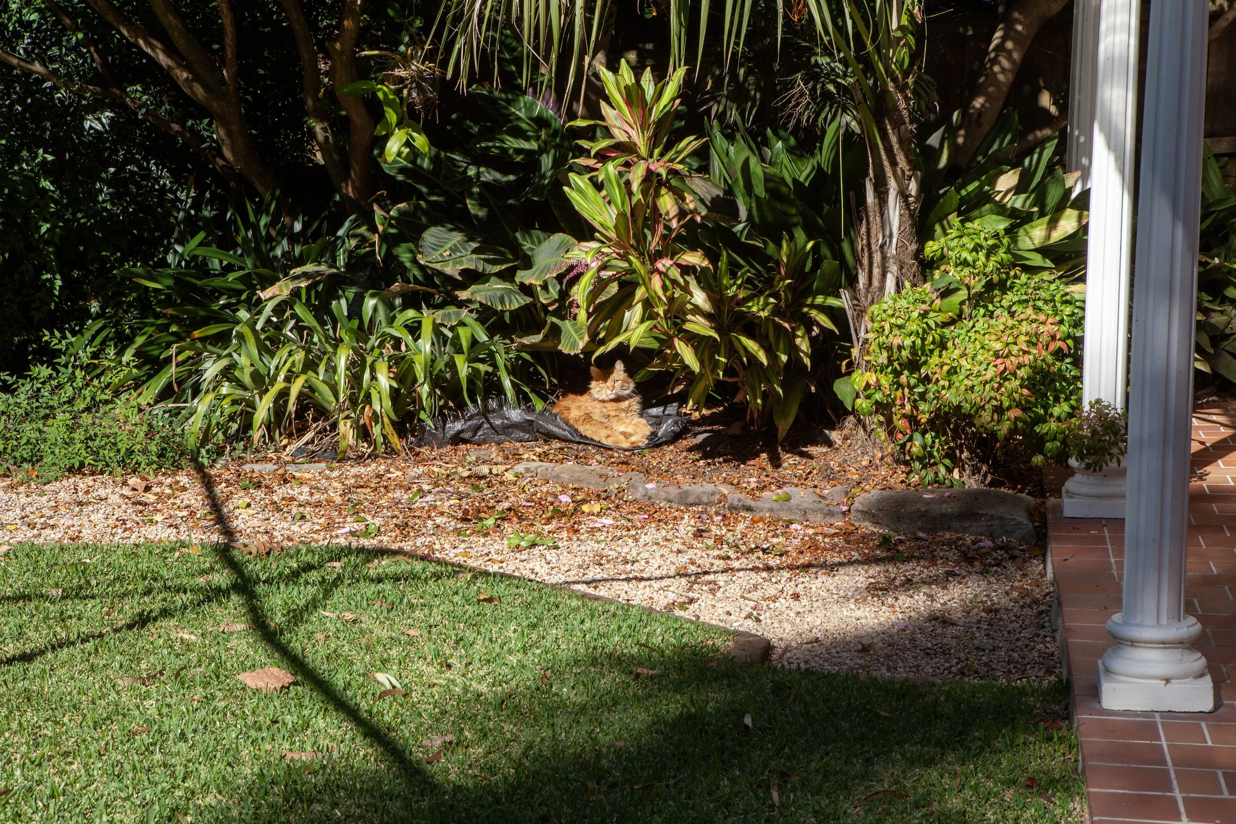 Hey Poes! © Nora Verbraak_MG_3390.jpg