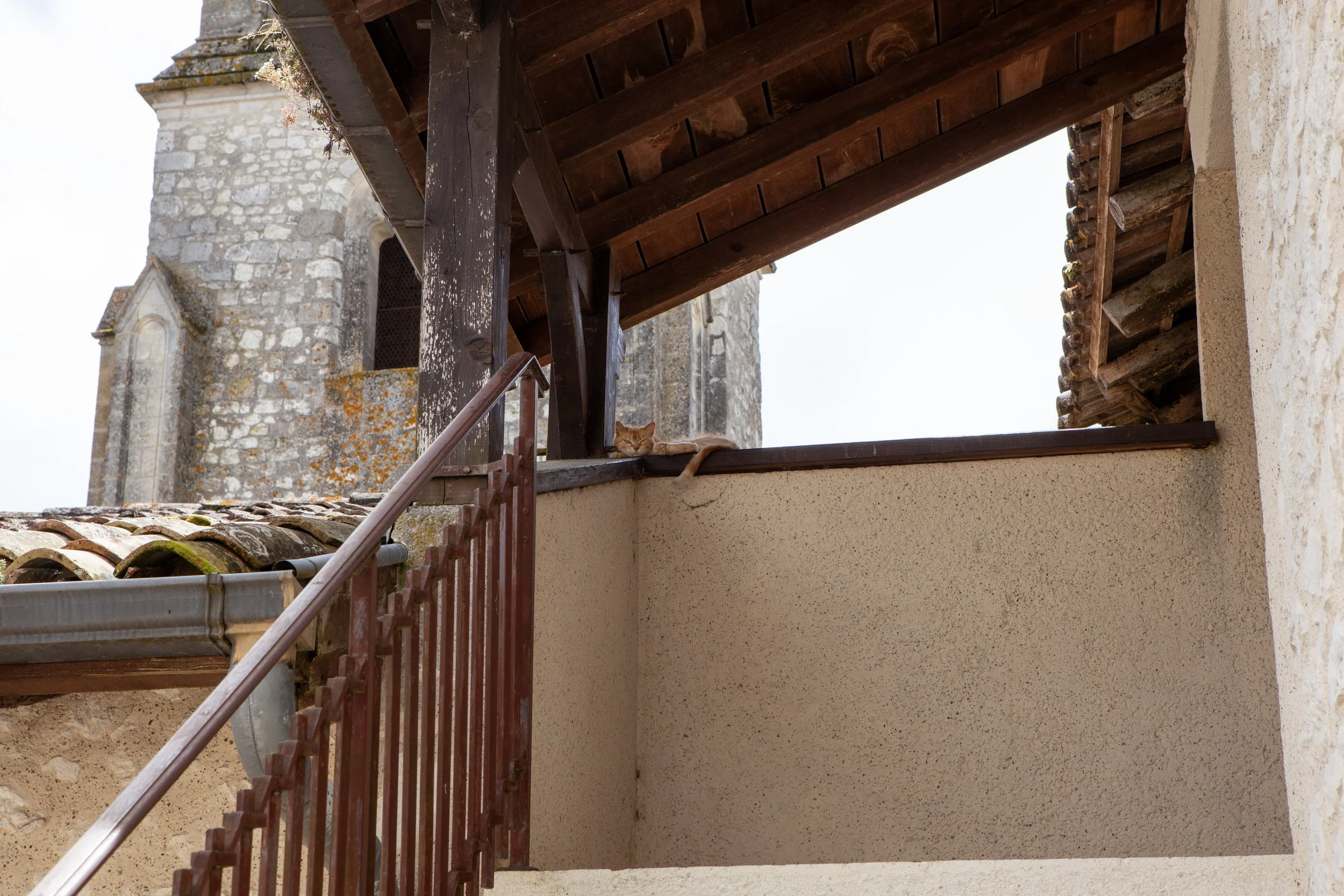 Hey Poes! © Nora Verbraak_MG_9363.jpg