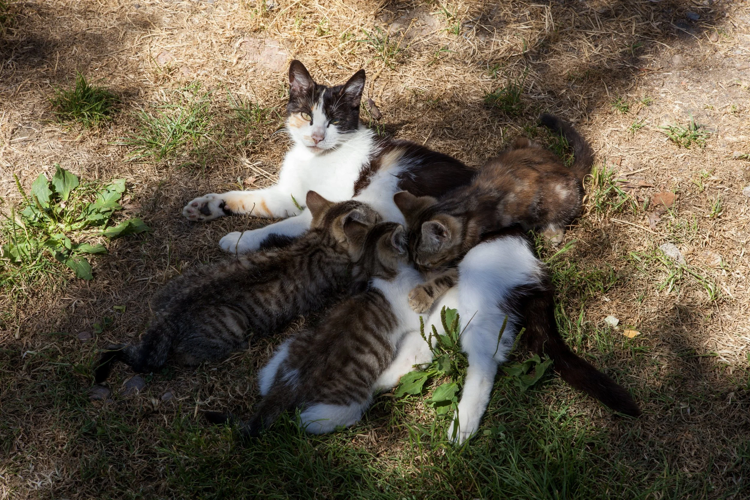 Hey Poes! © Nora Verbraak_MG_1769.jpg