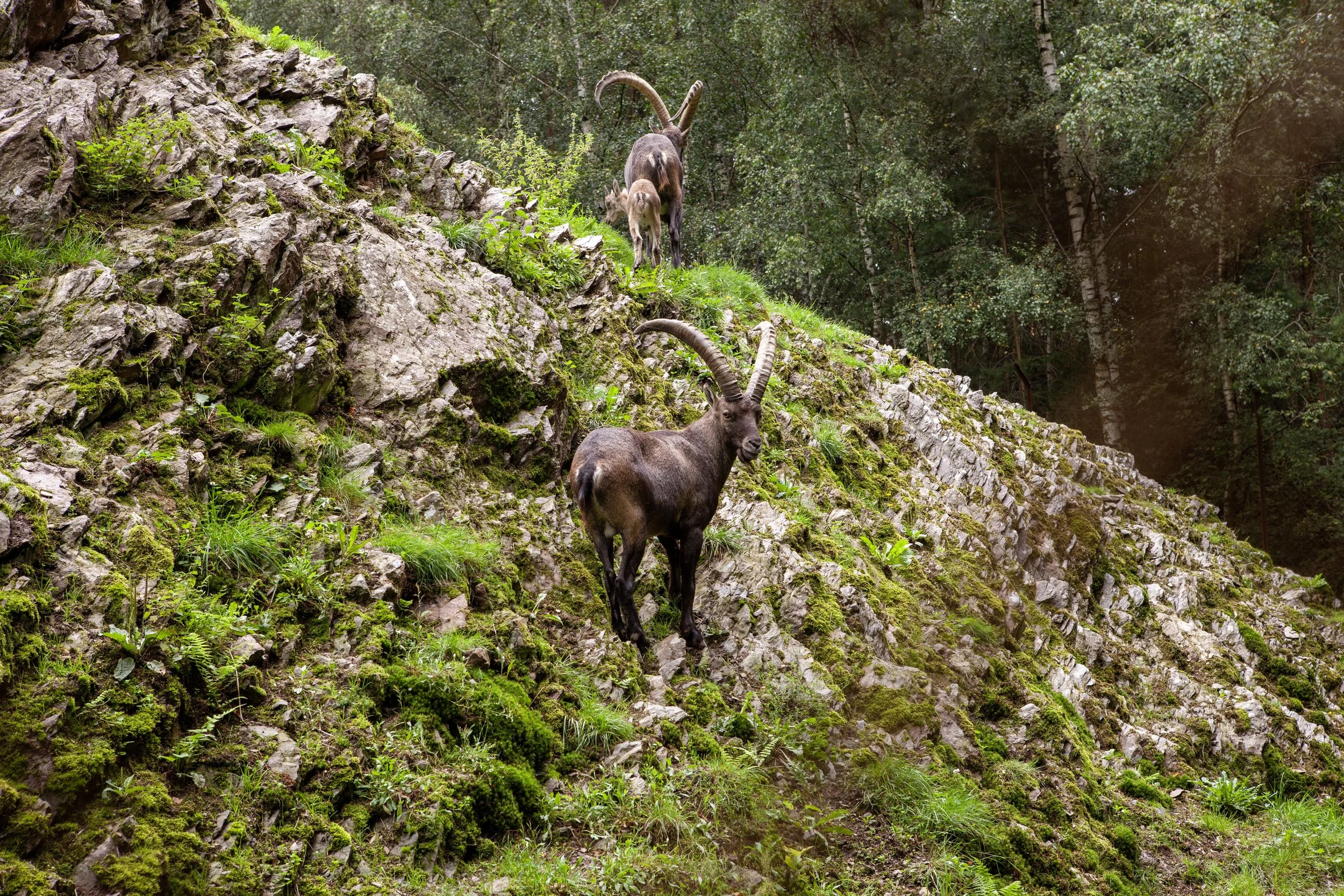 Zoo © Nora Verbraak_MG_7313.jpg