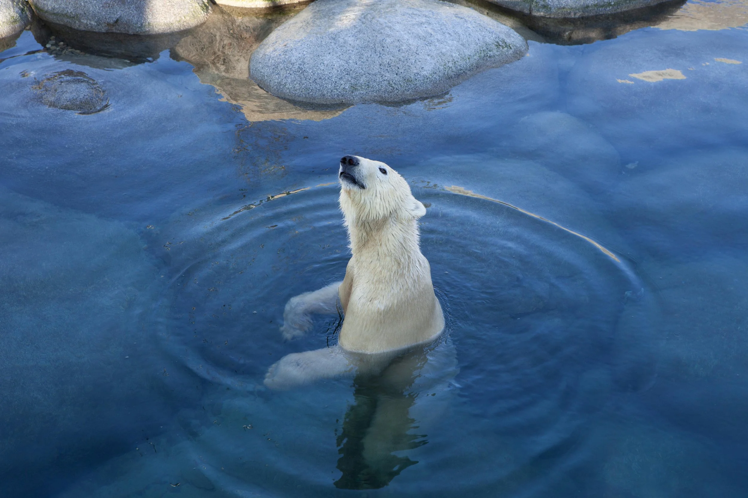 Zoo © Nora Verbraak_MG_5446.jpg