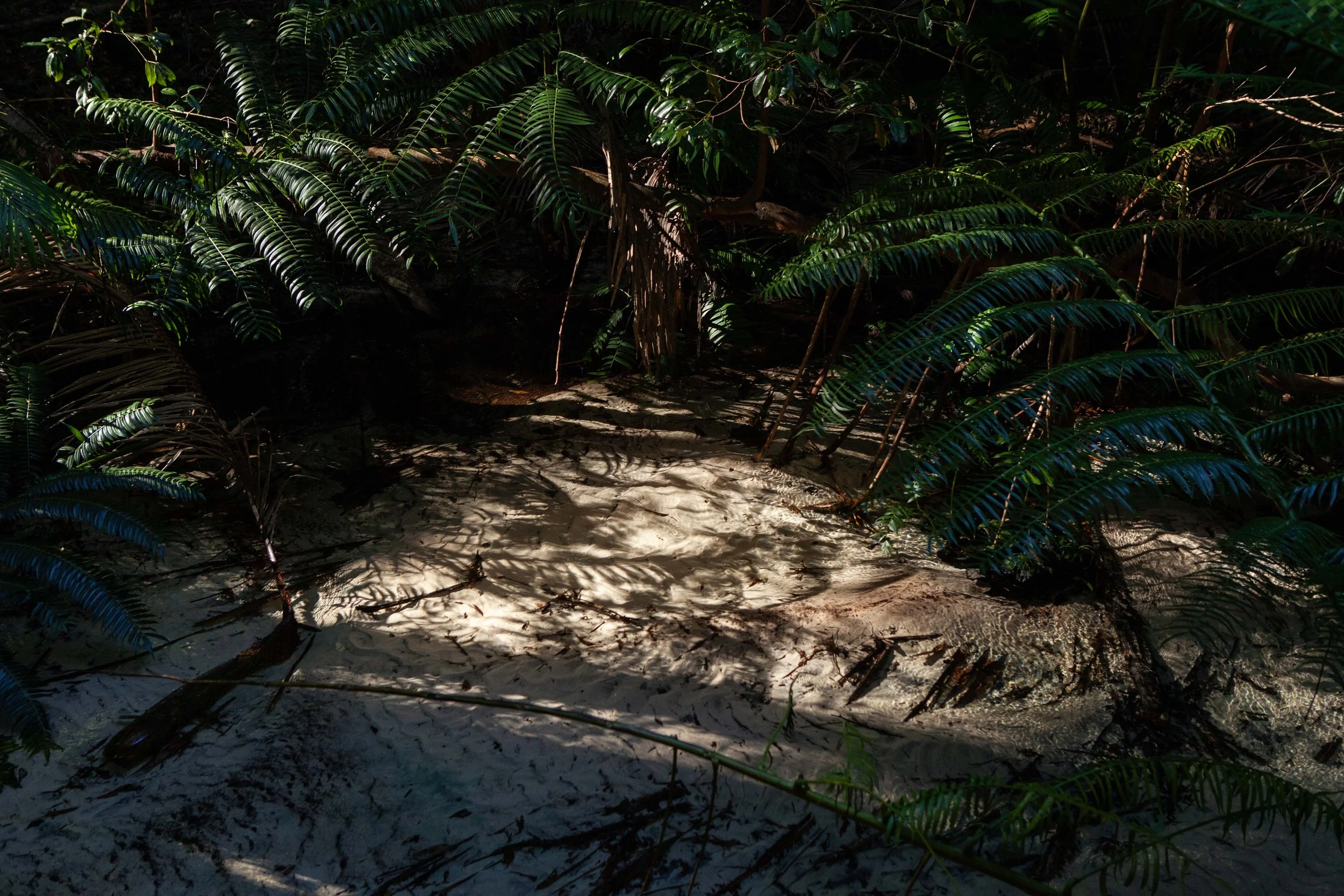 Nora Verbraak Blue Mind - Fraser_MG_4826.jpg