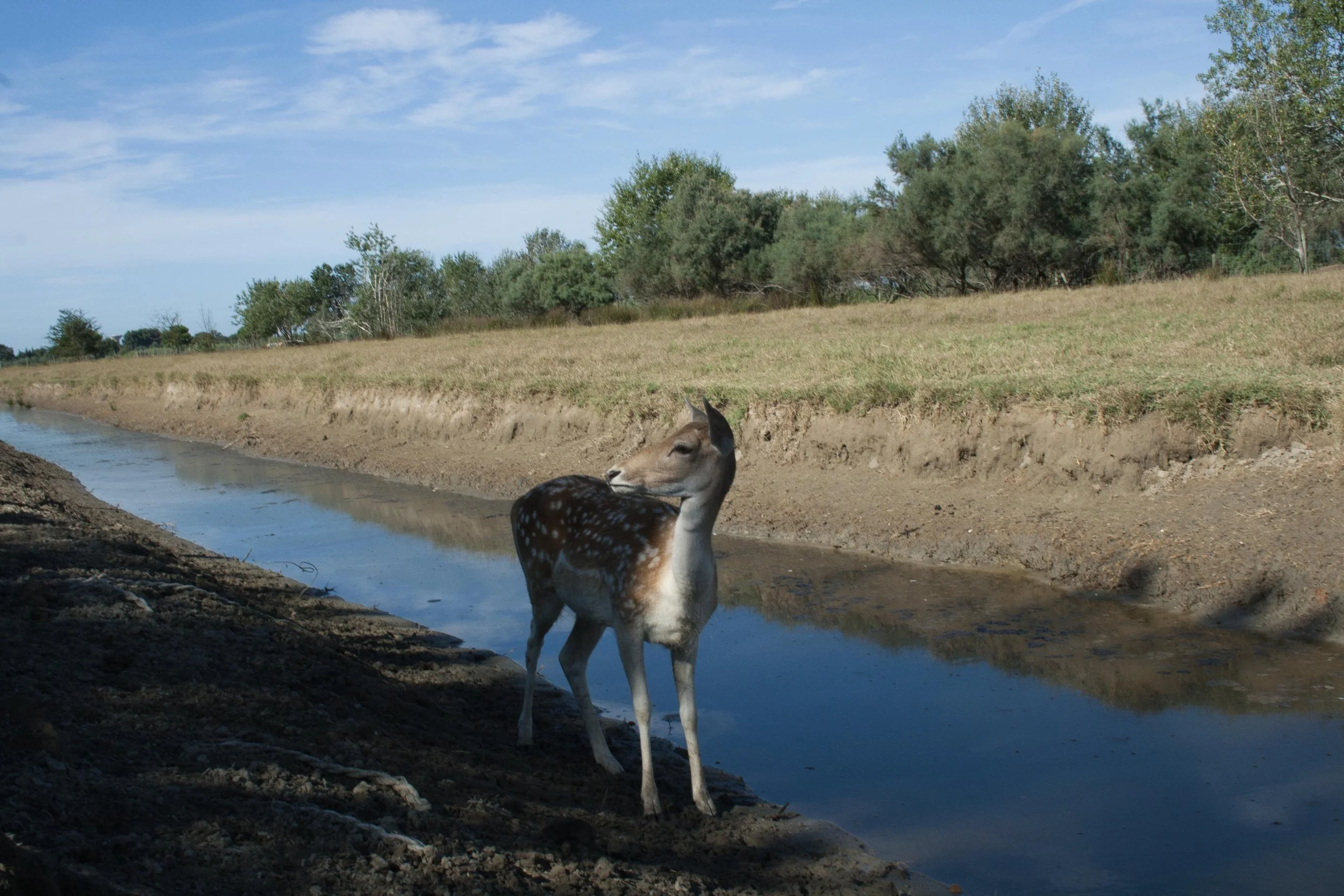 Zoo © Nora Verbraak_MG_8161.jpg