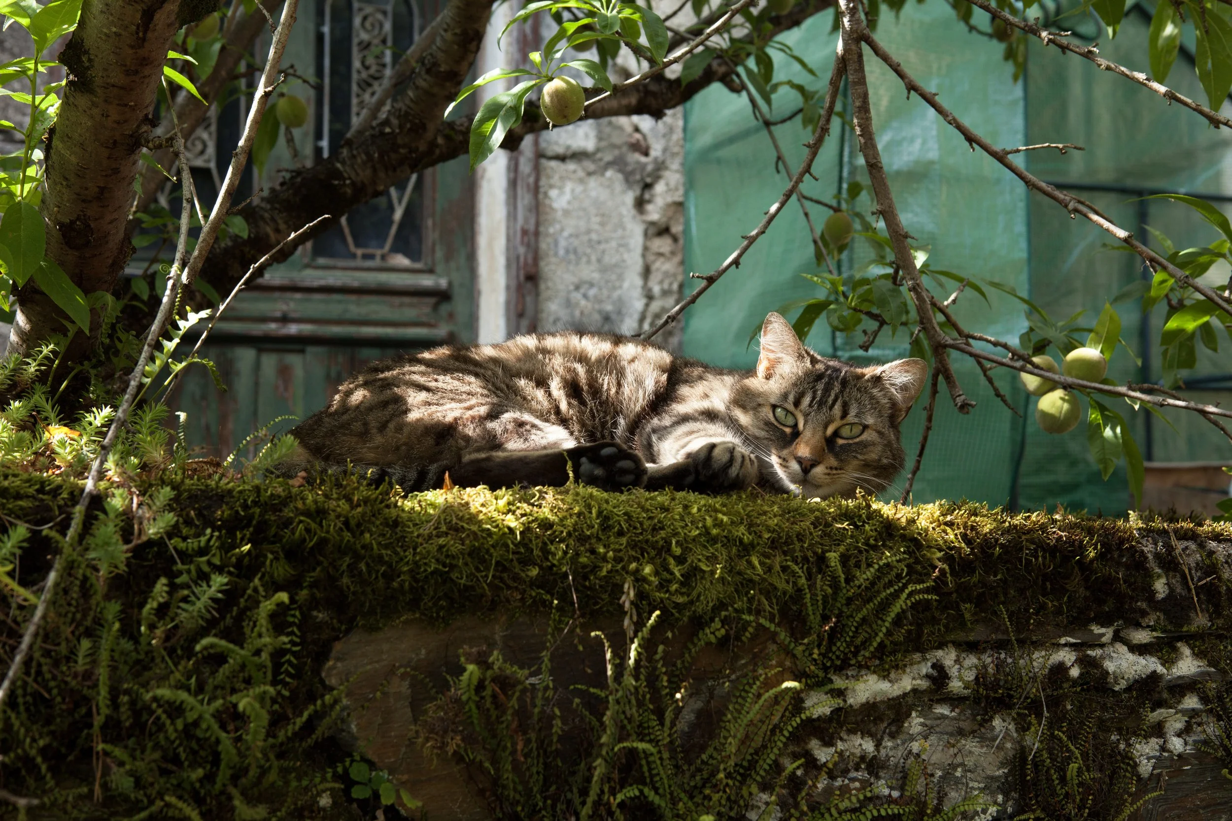 Hey Poes! © Nora Verbraak_MG_0231.jpg