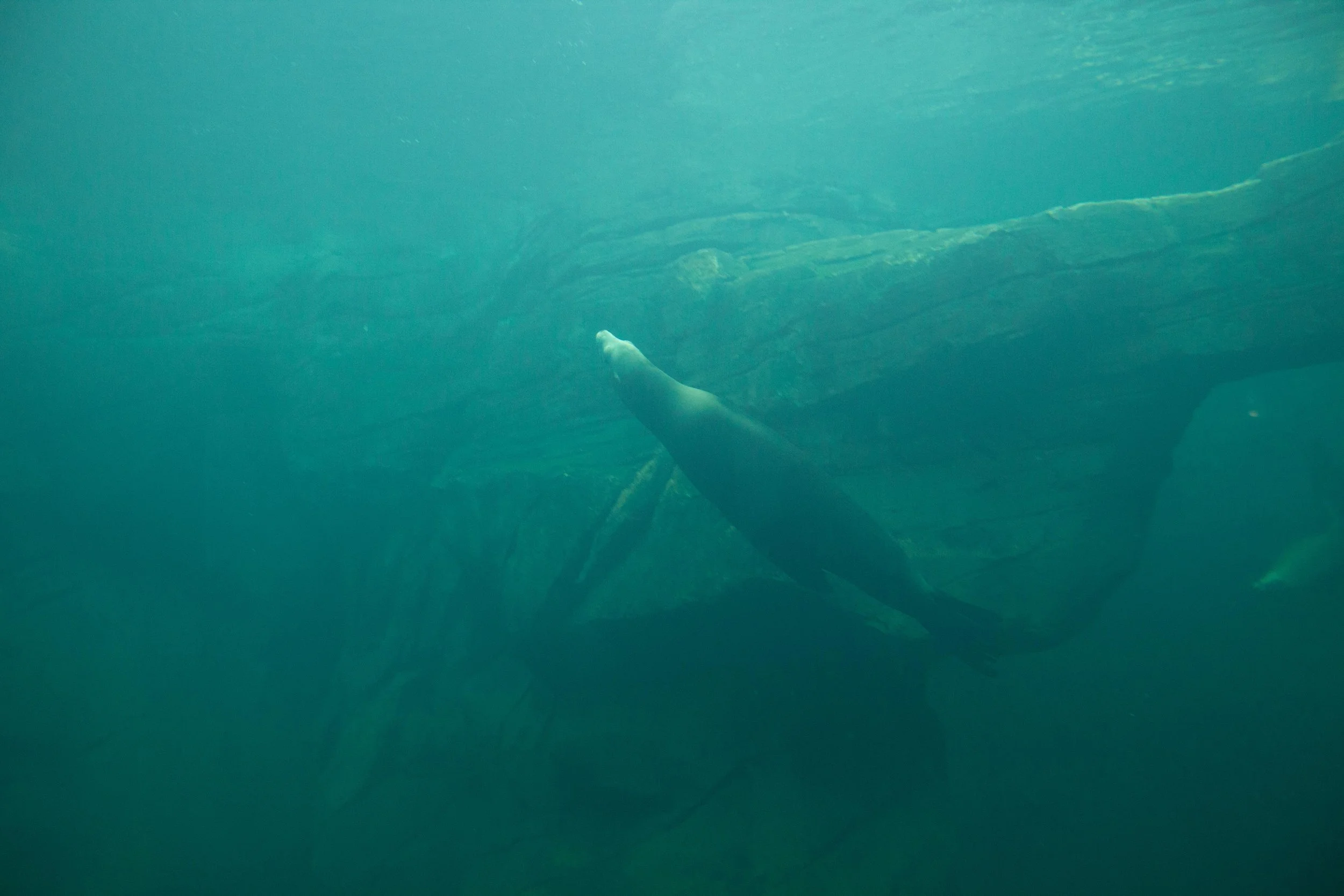 Zoo © Nora Verbraak_MG_5427.jpg