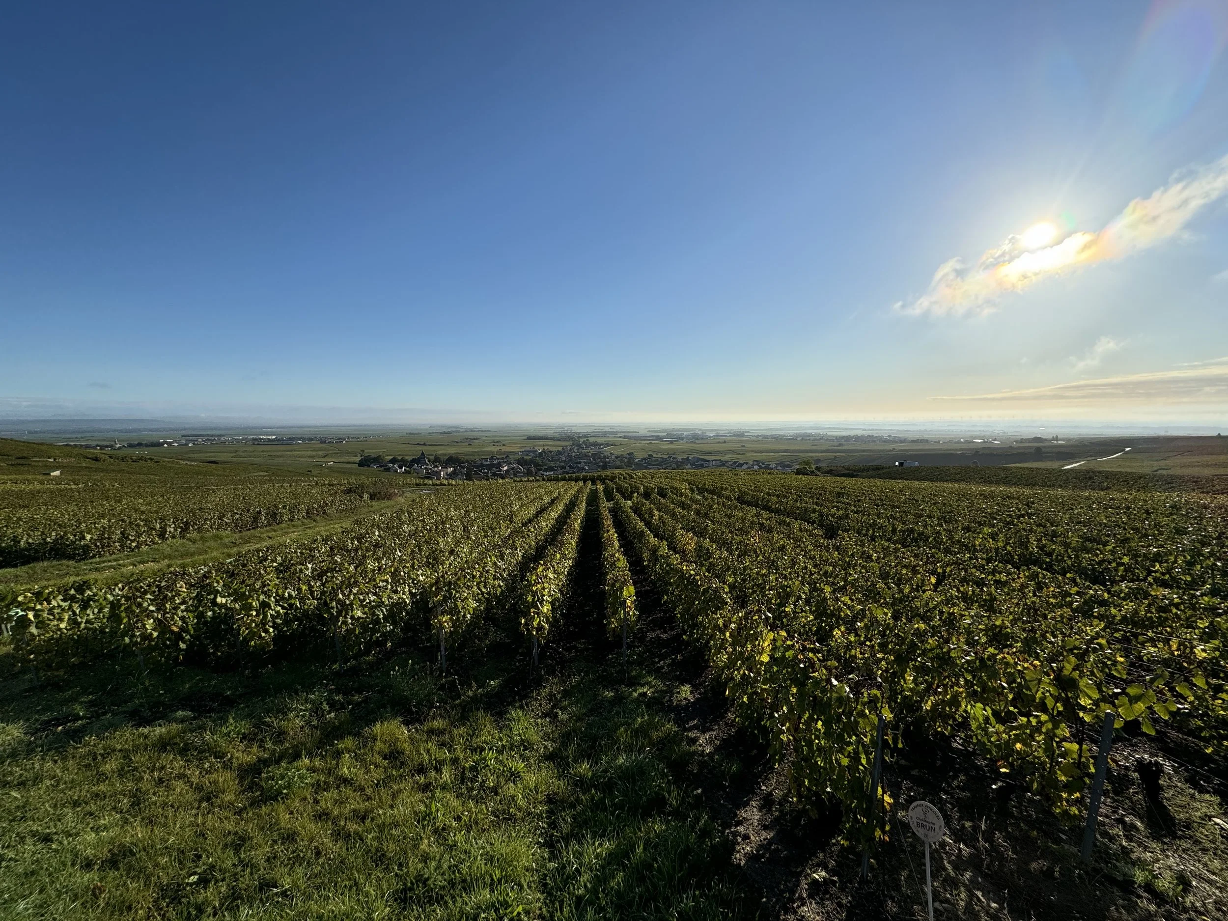 Champagne, le mille facce di un gigantesco BOH!