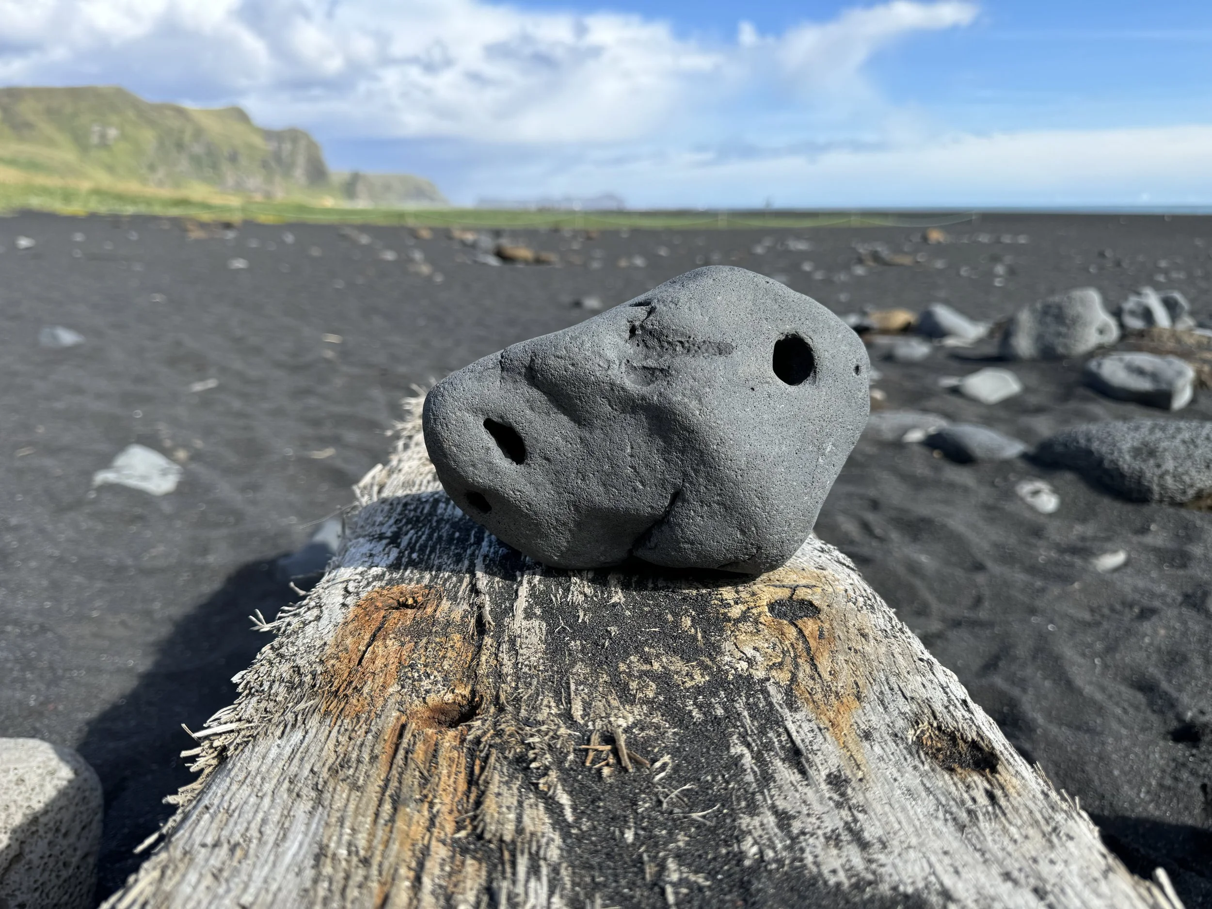 islanda, terra di ghiaccio, di fuoco e di squali fermentati