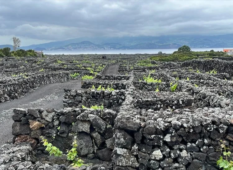 AZZORRE - IL VULCANO SOTTO AI PIEDI