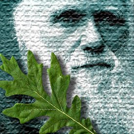 Humanist: Darwin Day