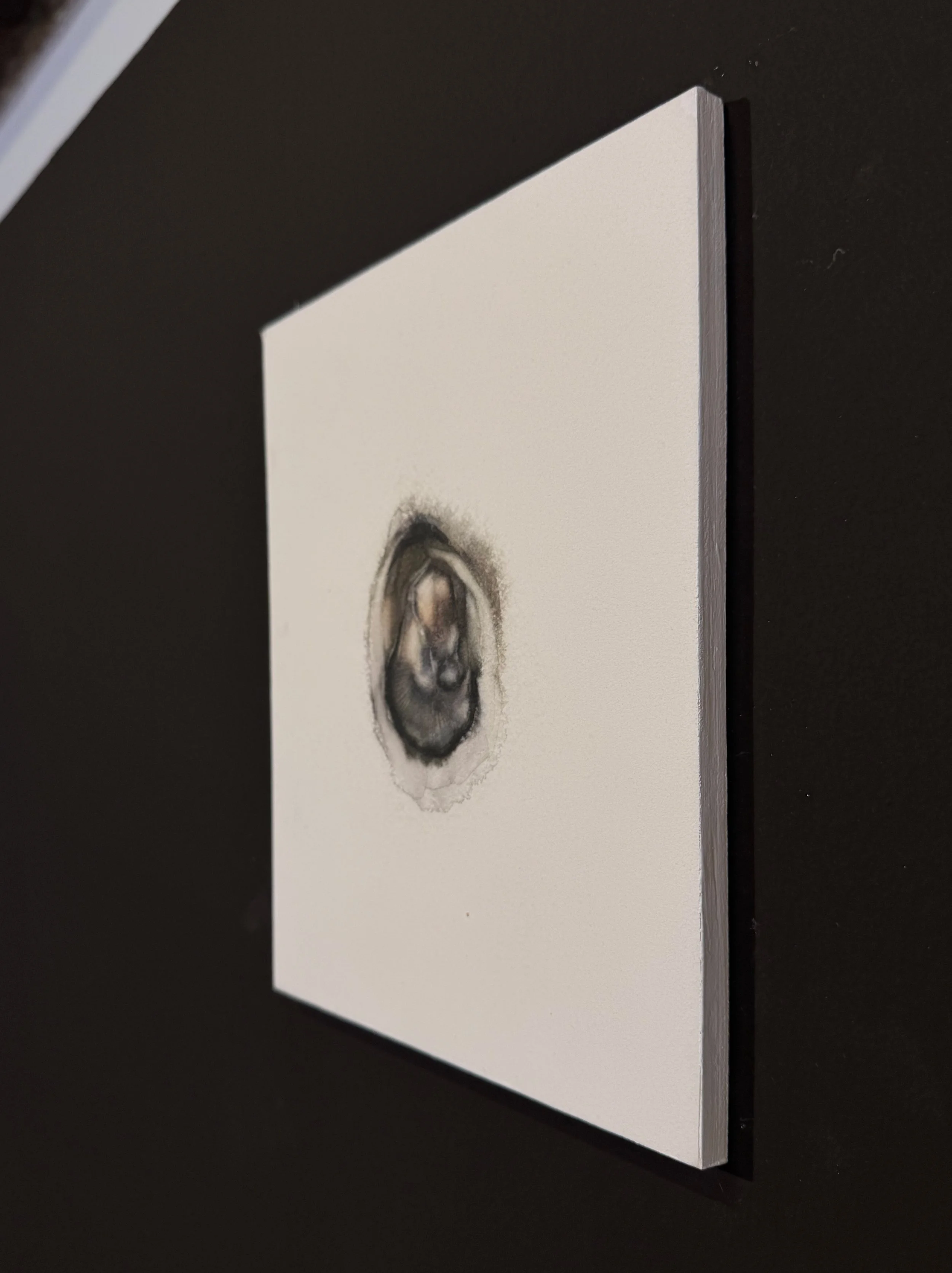 IMG_3792.jpg
