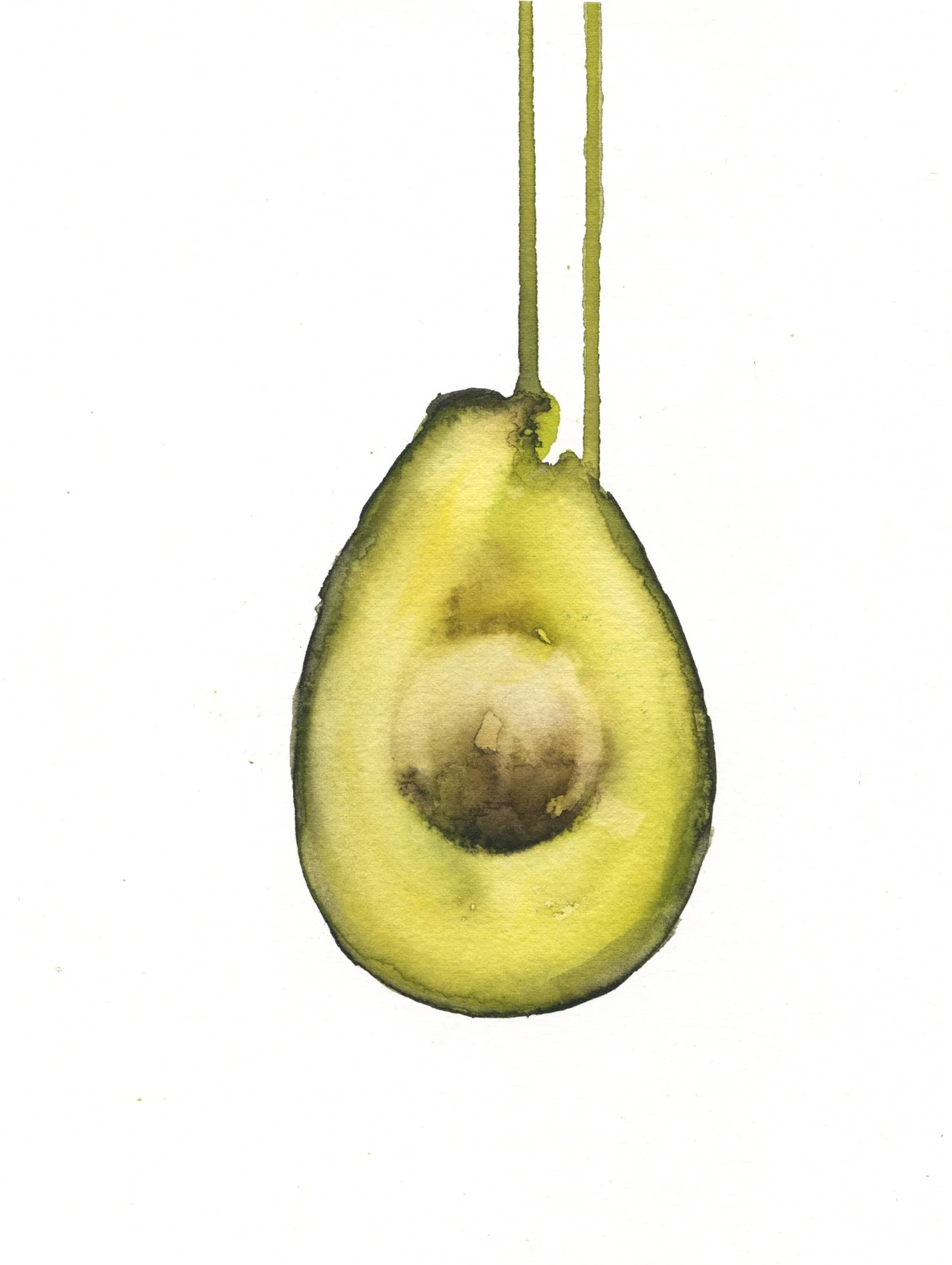aguacate1.jpg