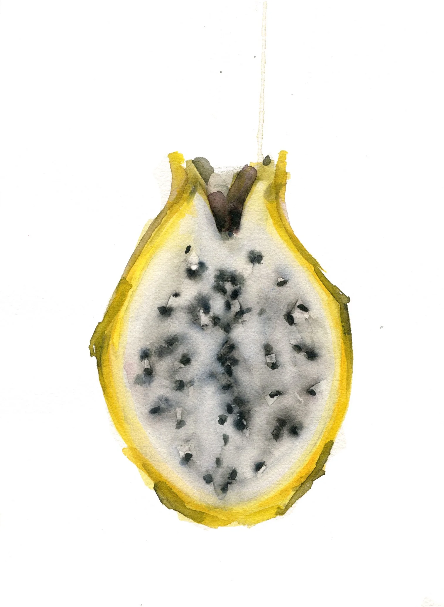 fruta del dragón  amarilla1.jpg