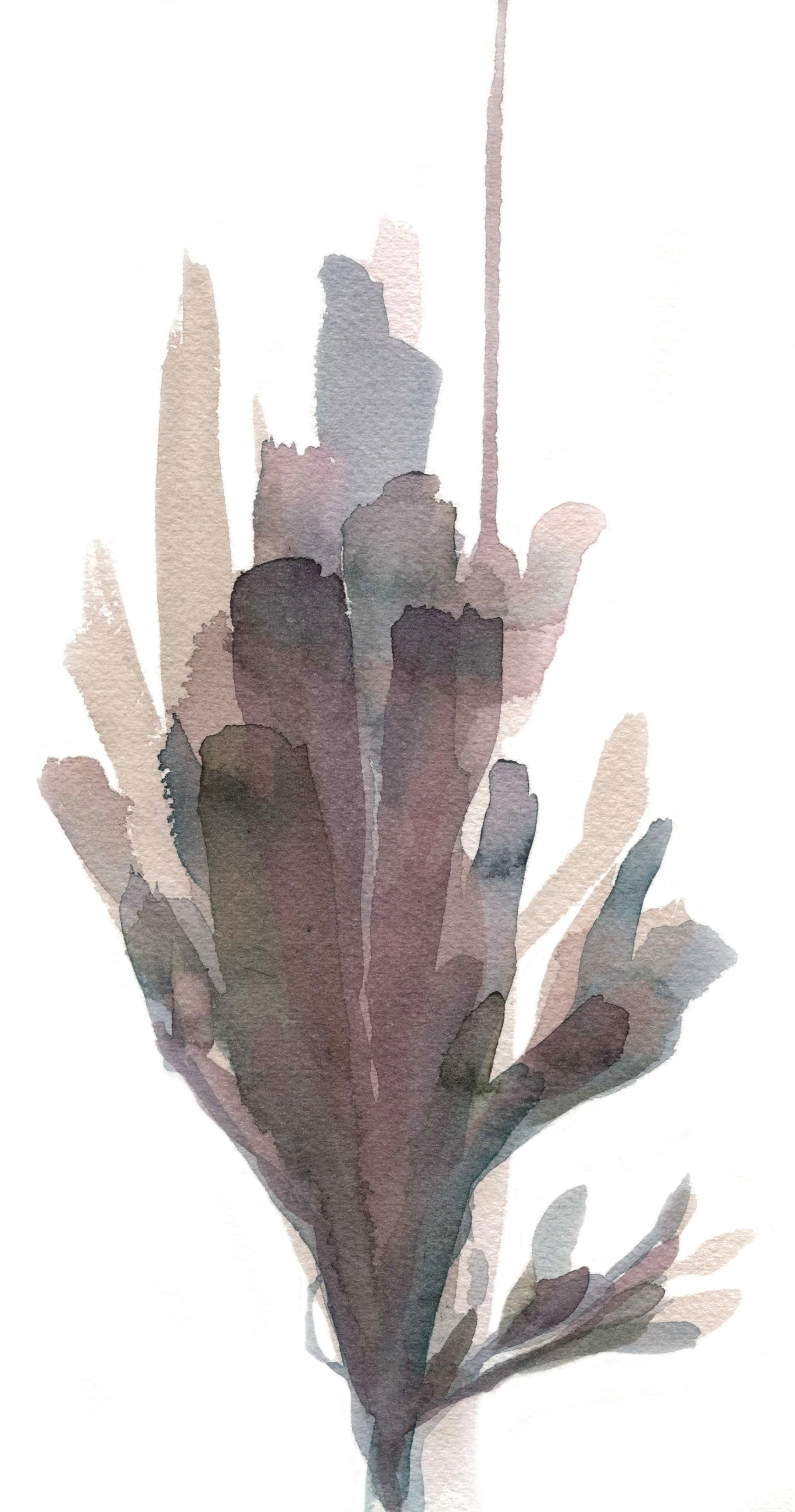 HOLAQUERIDA_CORAL_27.jpg