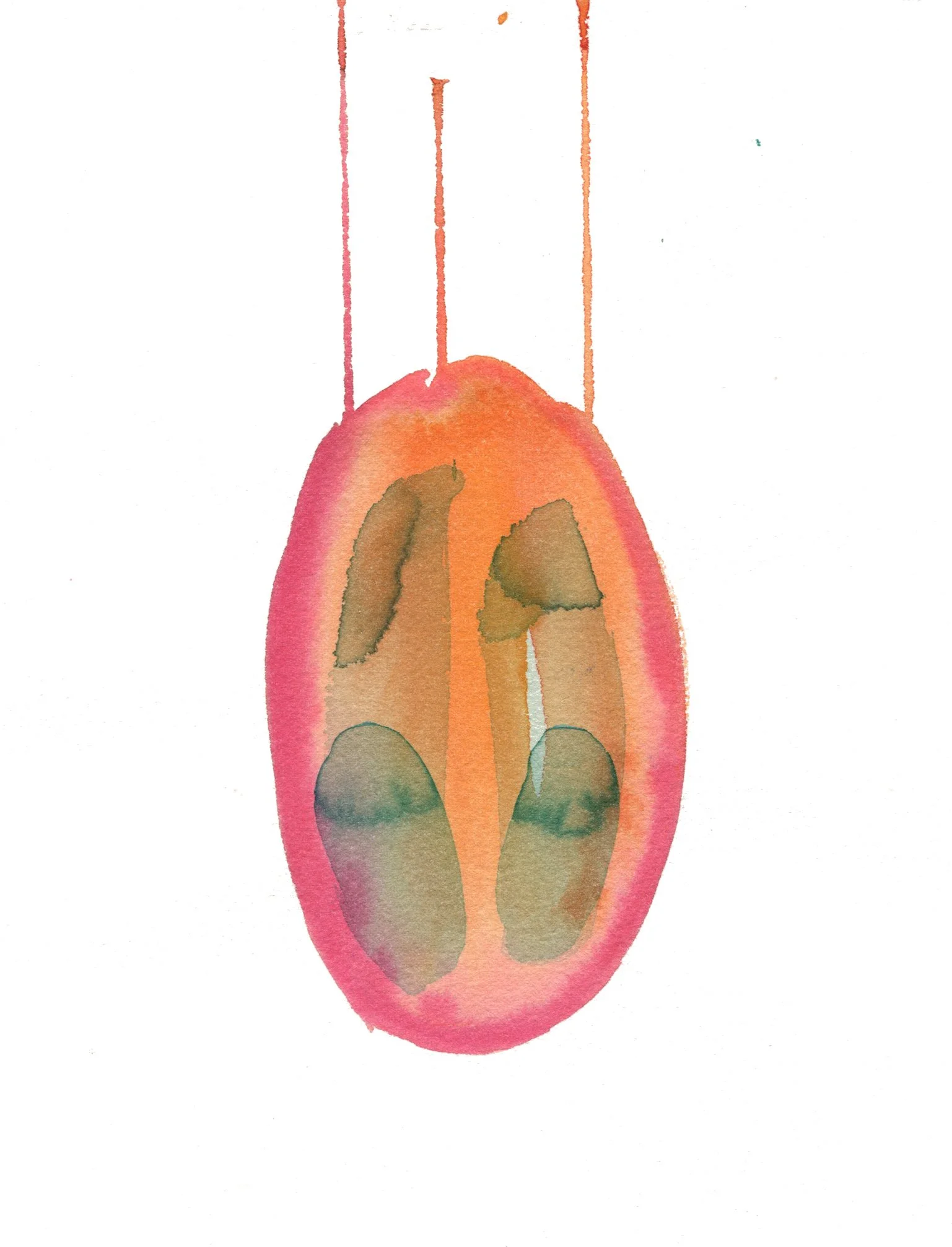 tamarillo2.jpg