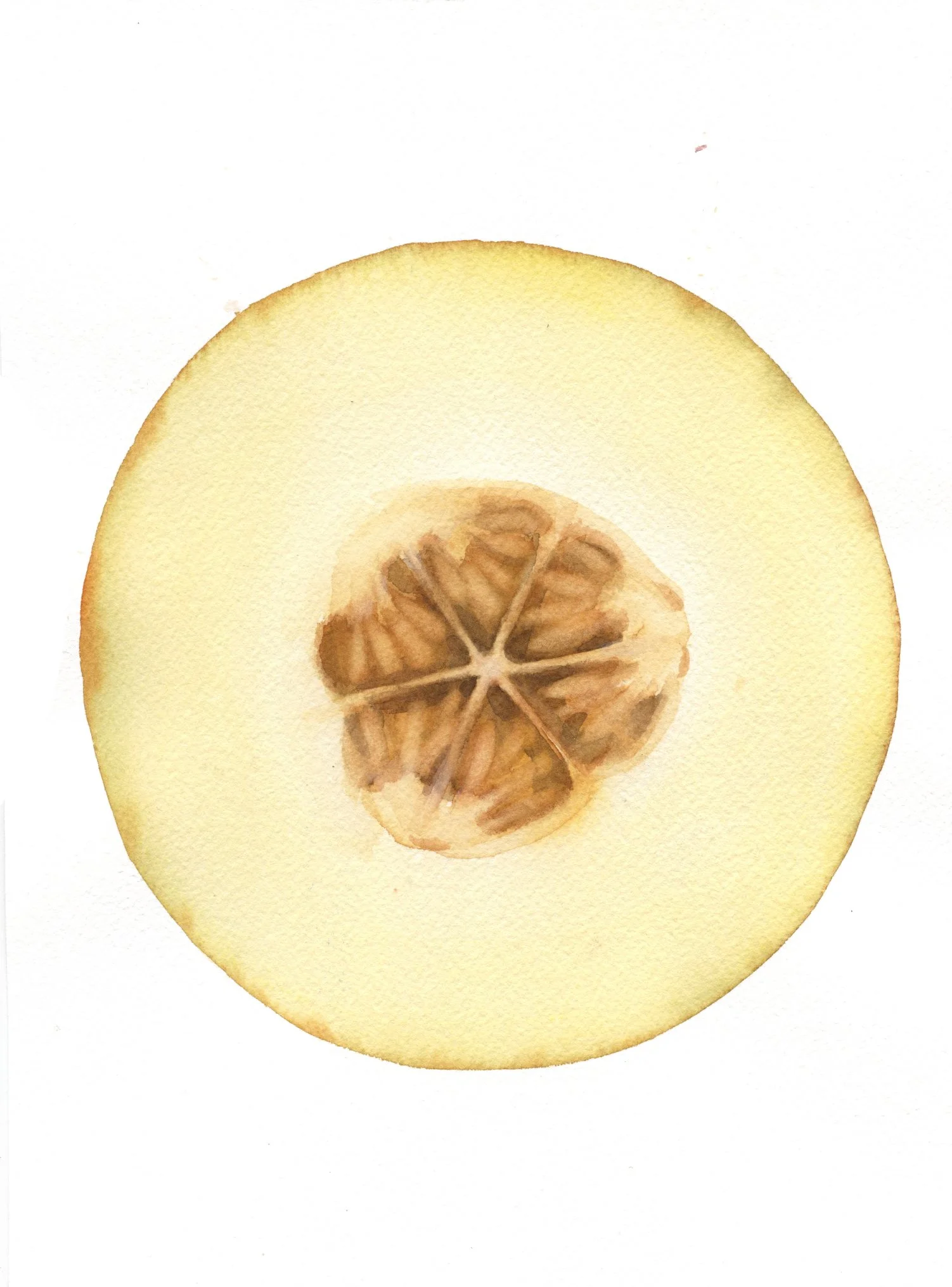 melón amarillo.jpg