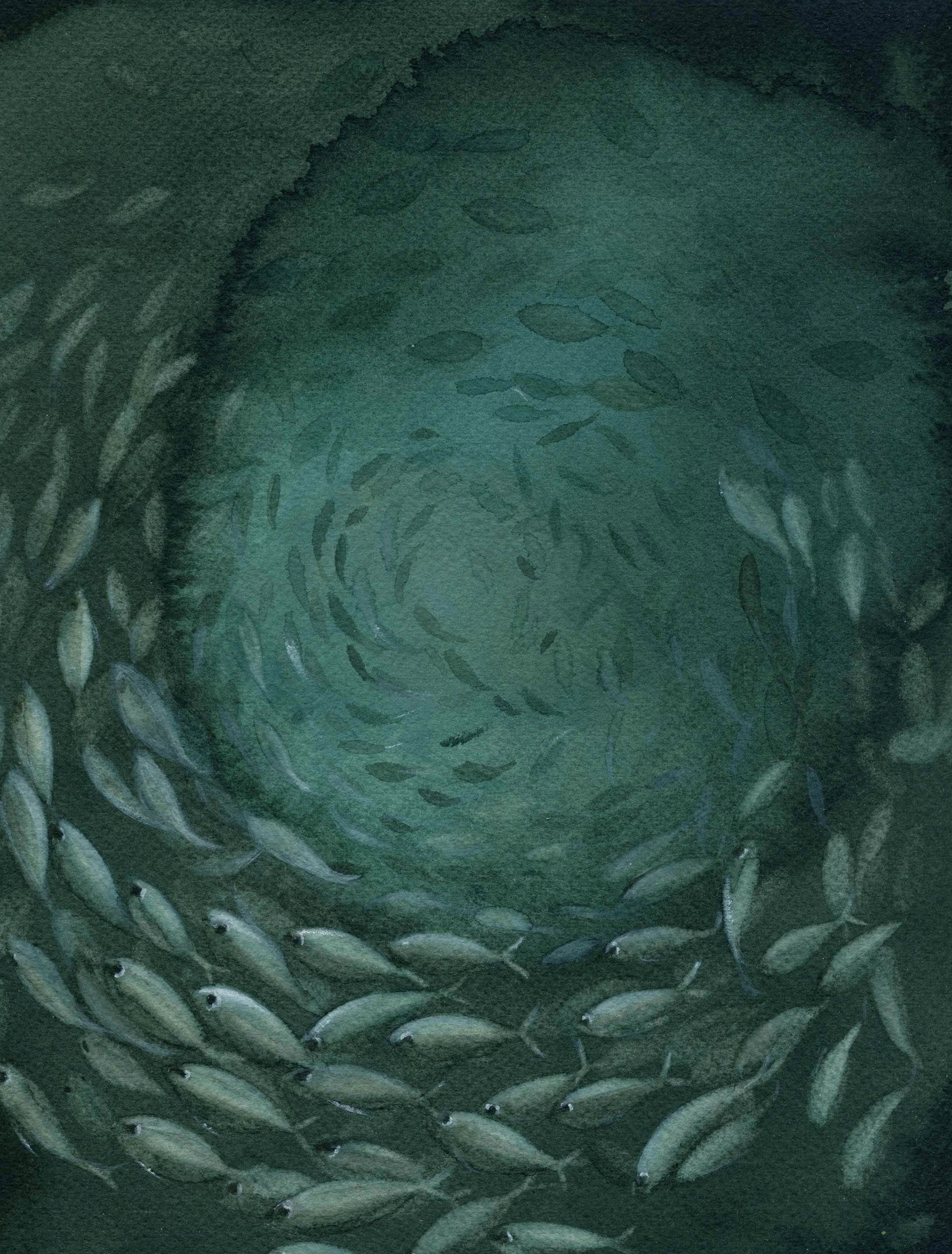 28. (banco de peces ( remolino).jpg