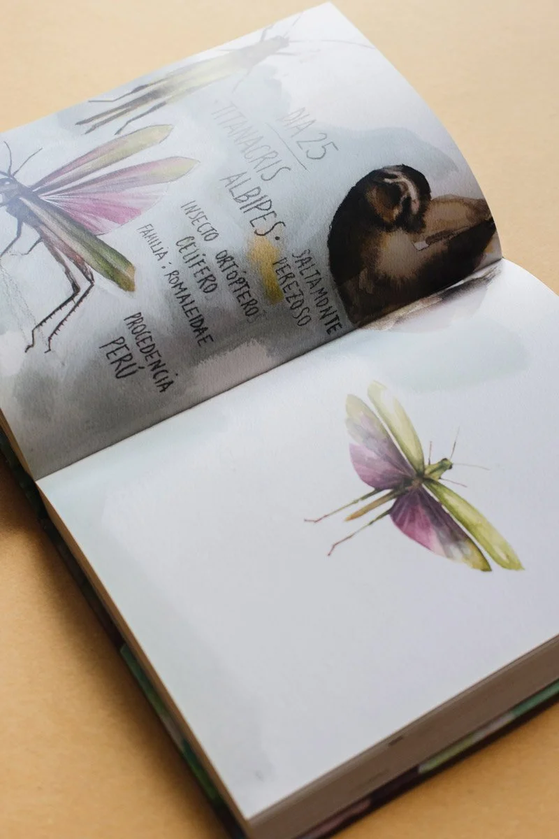 LIBRO LA CRISALIDA_5.jpg