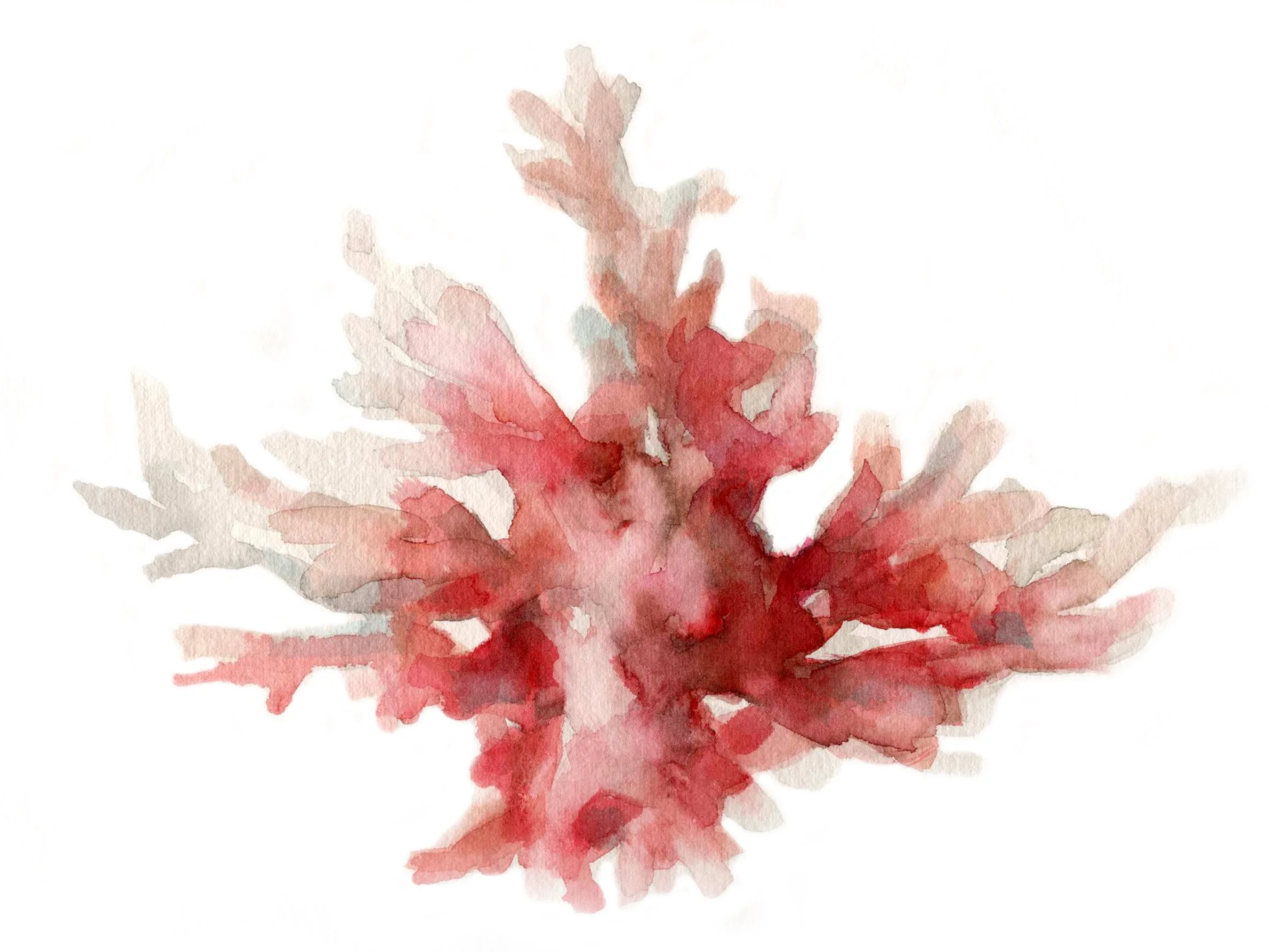 HOLAQUERIDA_CORAL_26.jpg