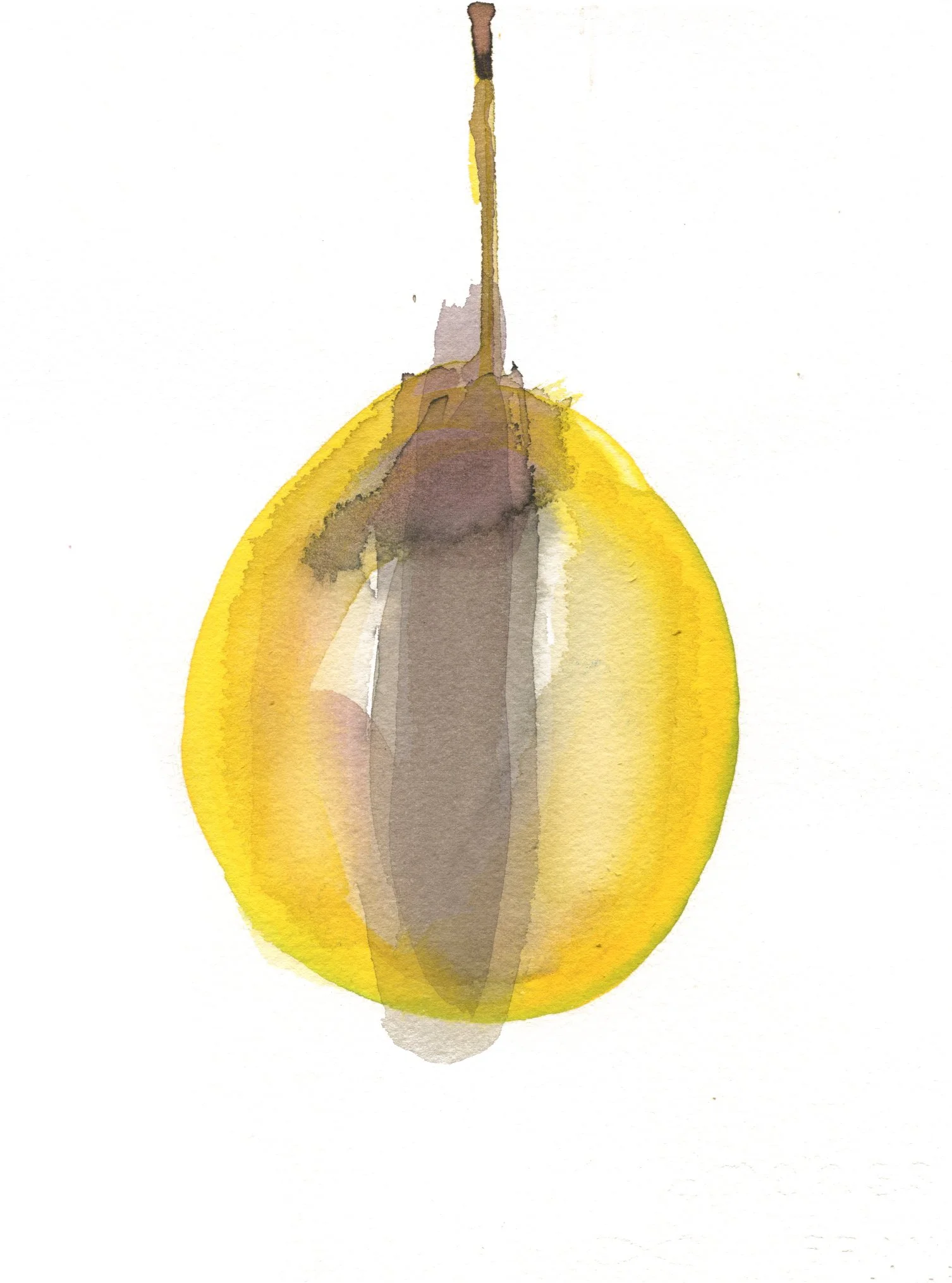 frutadeldragónamarilla2.jpg