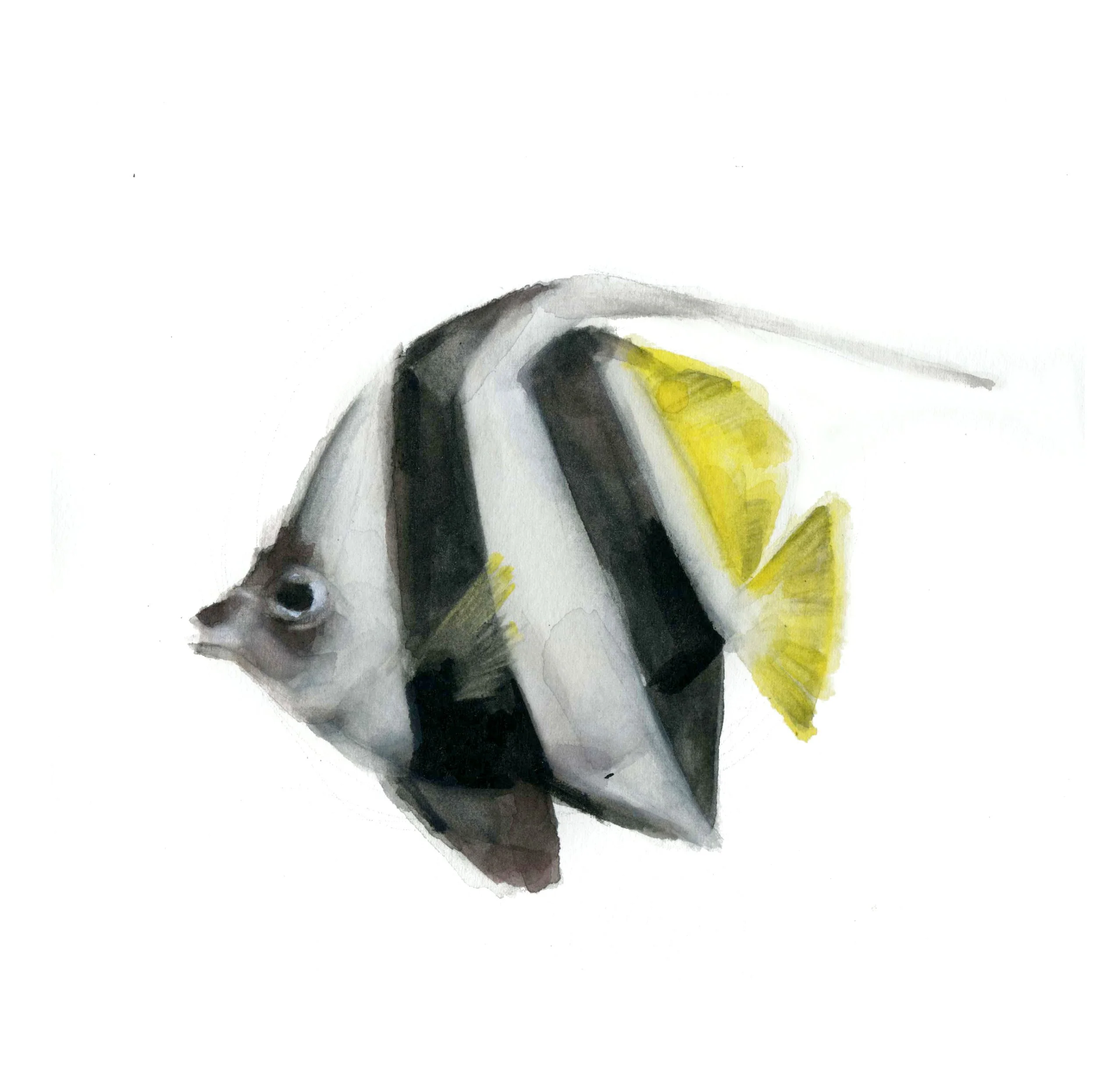 Pez Estandarte (Pez 2)