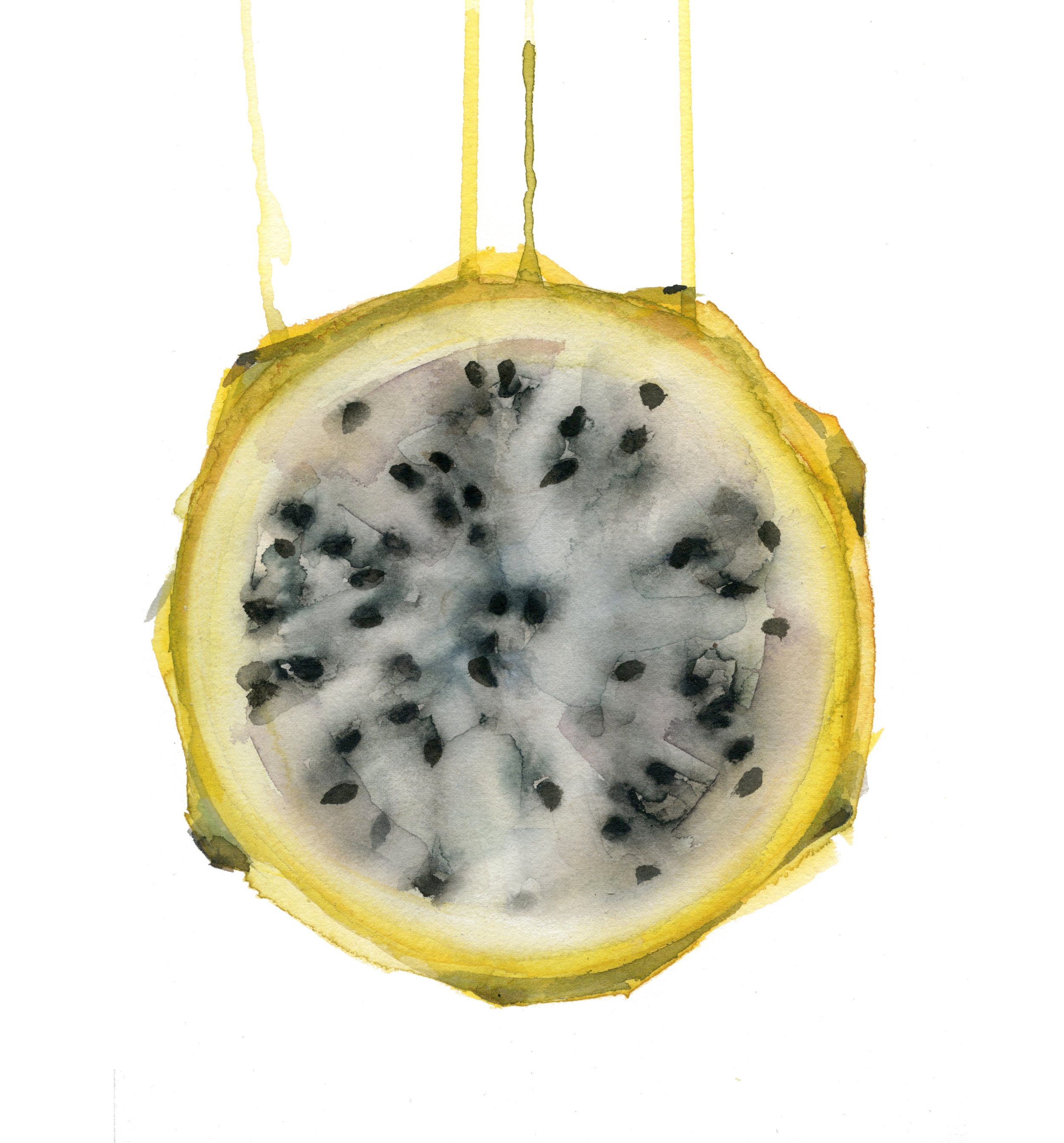 pitahaya.jpg