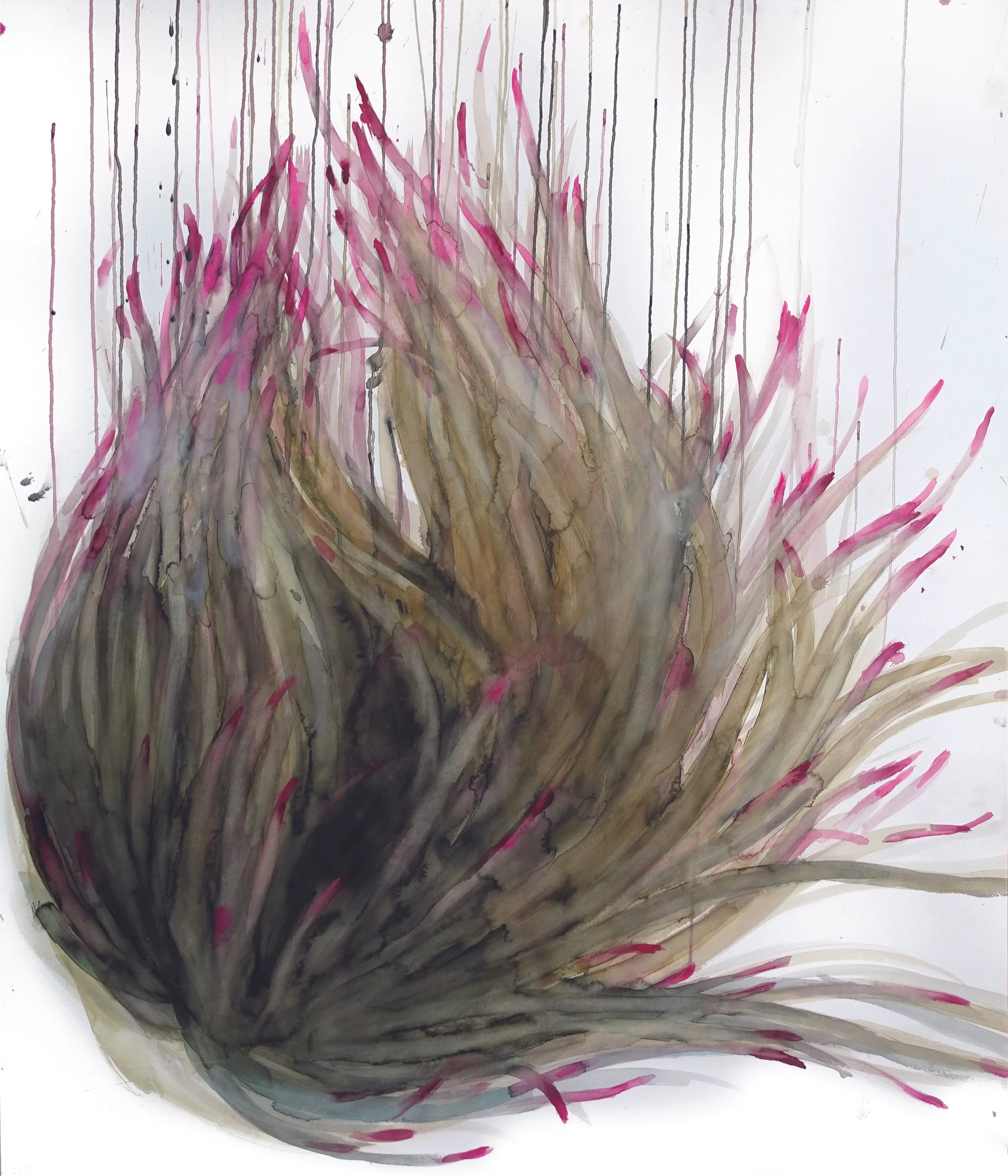 ANEMONA24X28CM.jpg
