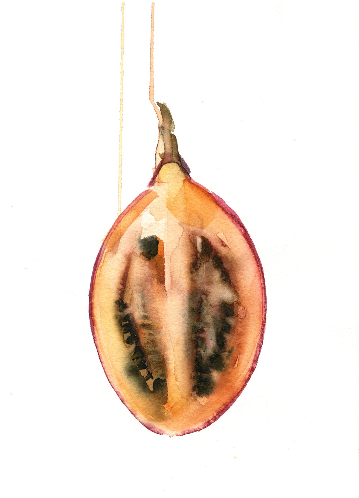 TAMARILLO.jpg