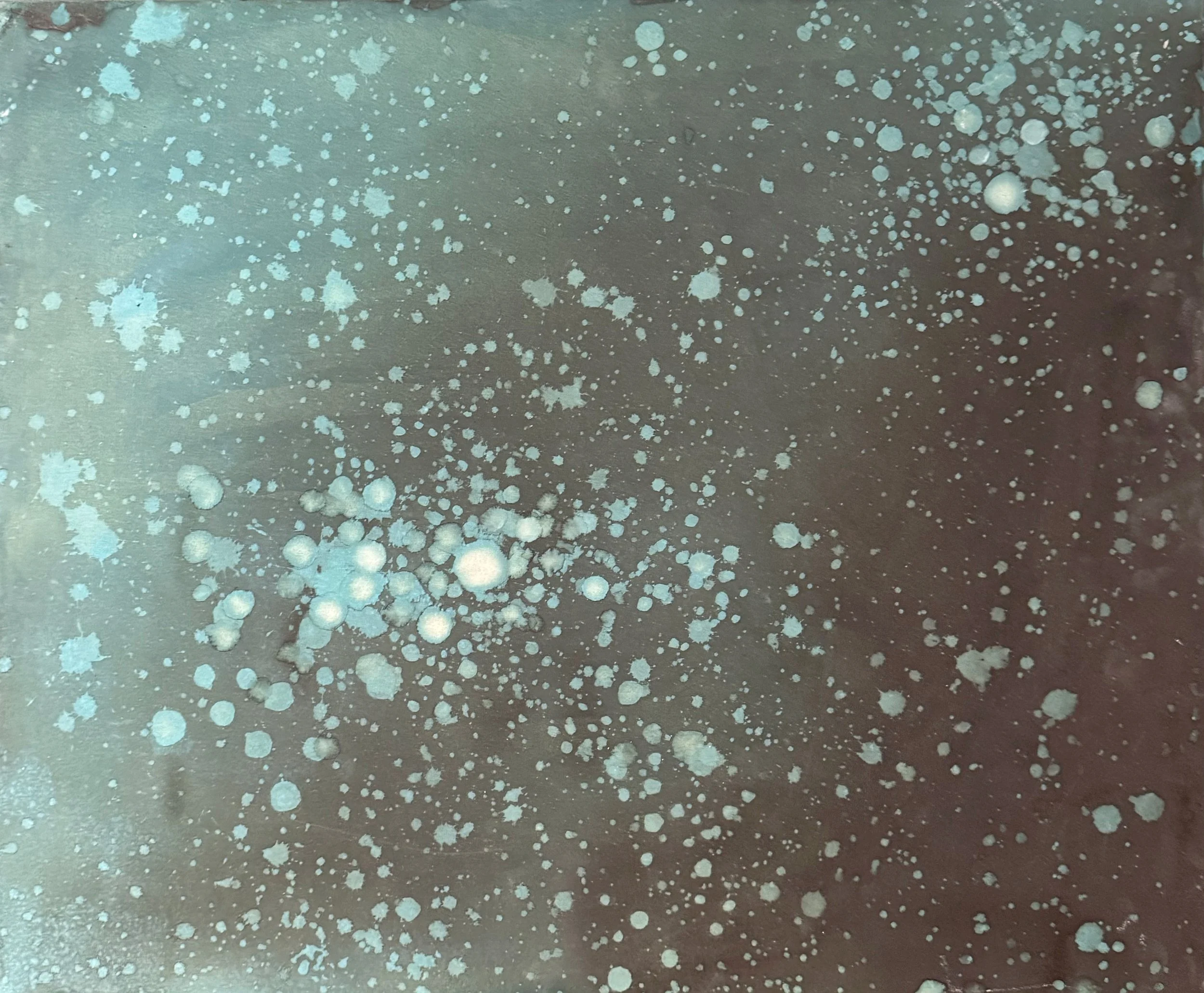 BioluminiscenciaII