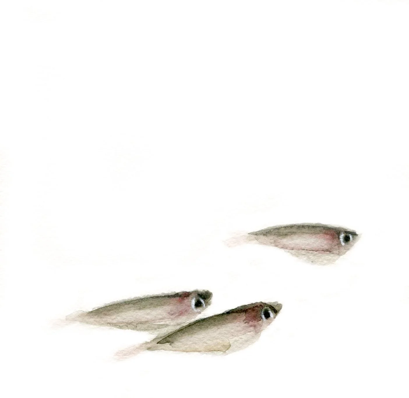 HOLAQUERIDA_BANCOPECES_7.jpg