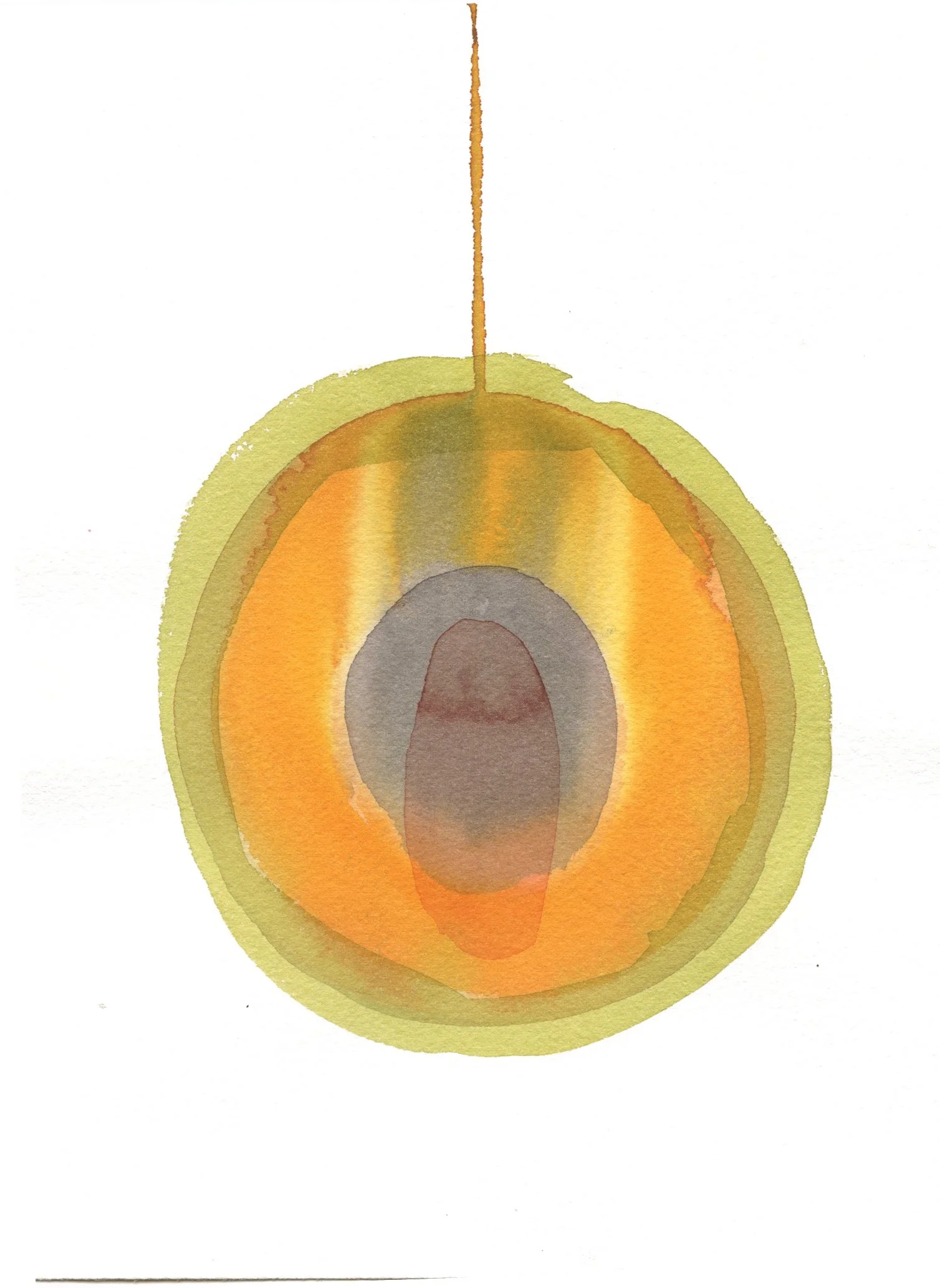 papaya2.jpg