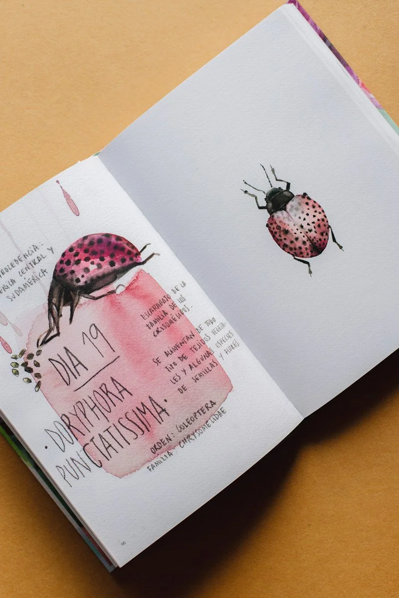 LIBRO LA CRISALIDA_4.jpg