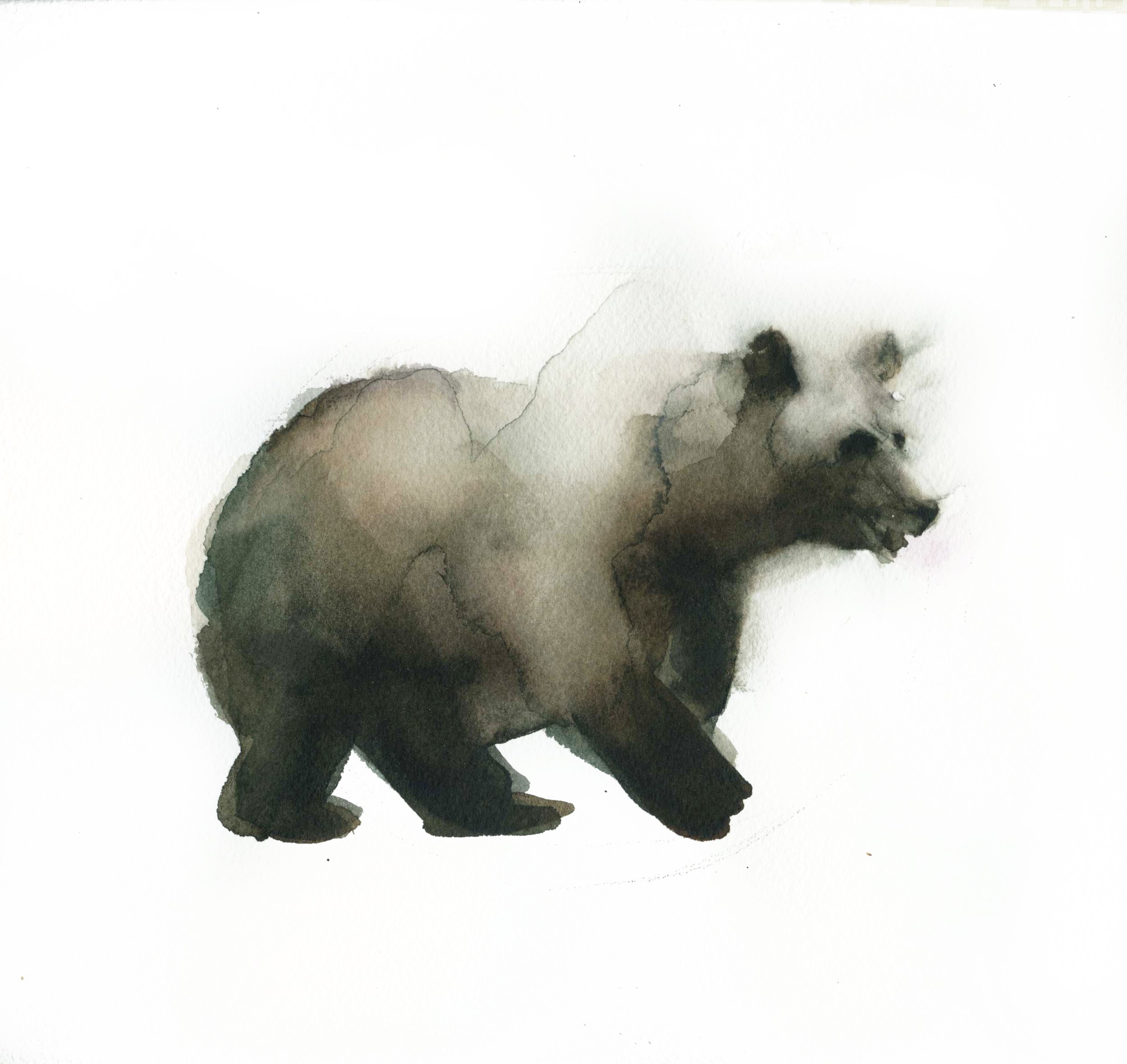 Oso 2.jpg