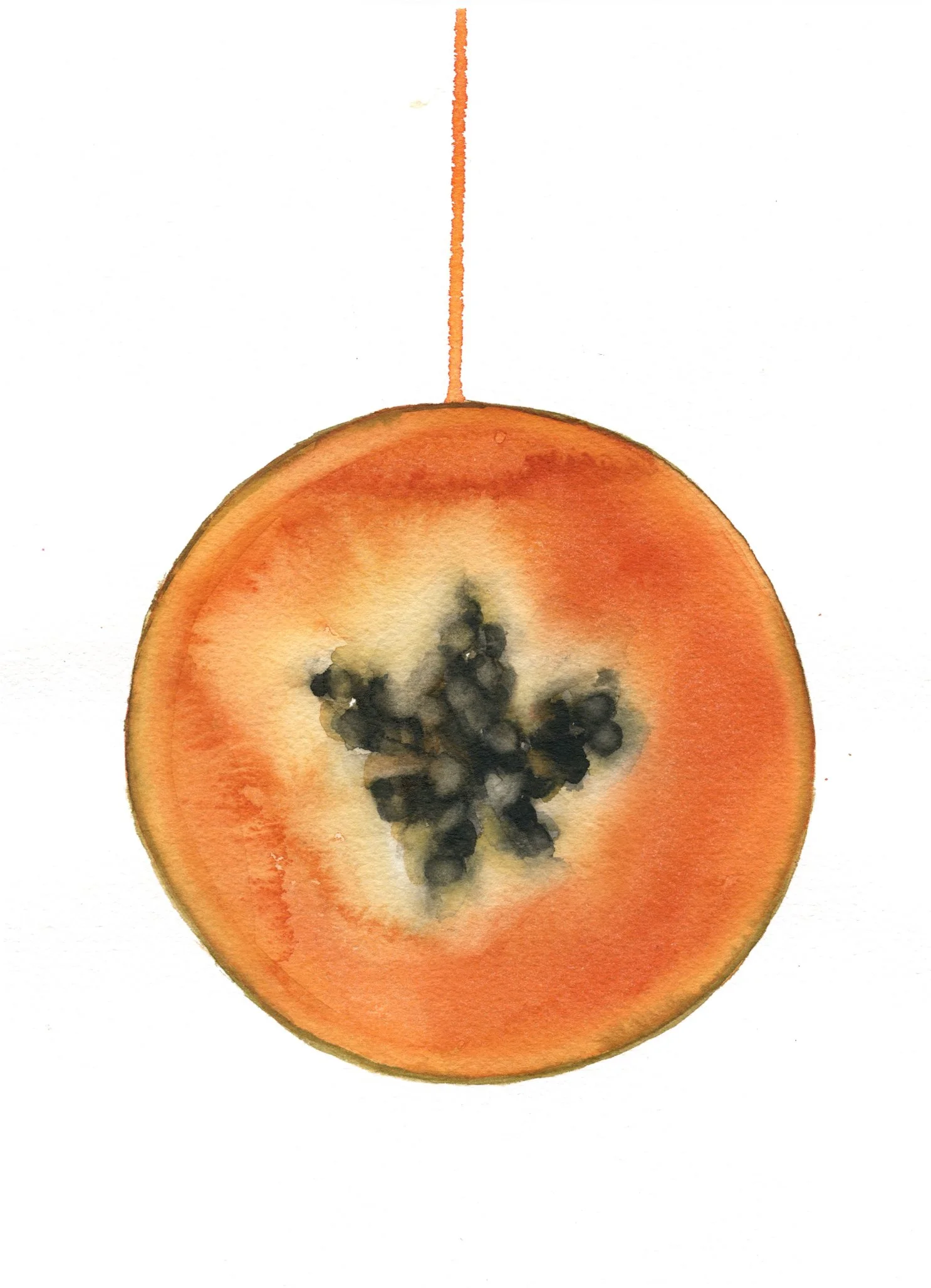 papaya1.jpg