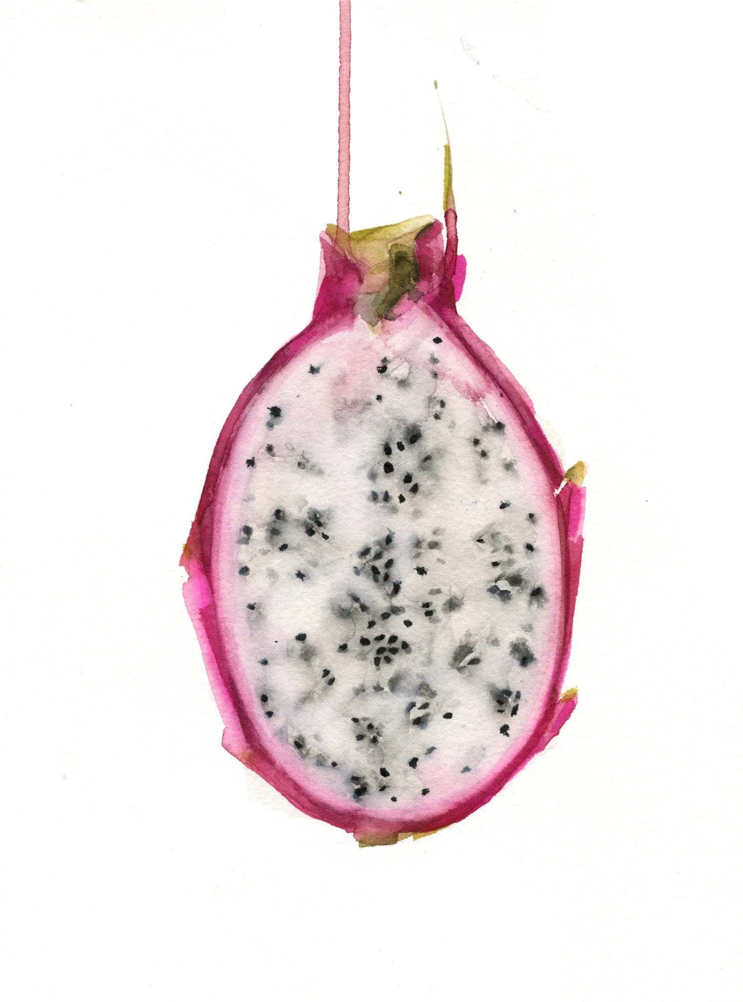 Fruta del dragón rosa 1.jpg