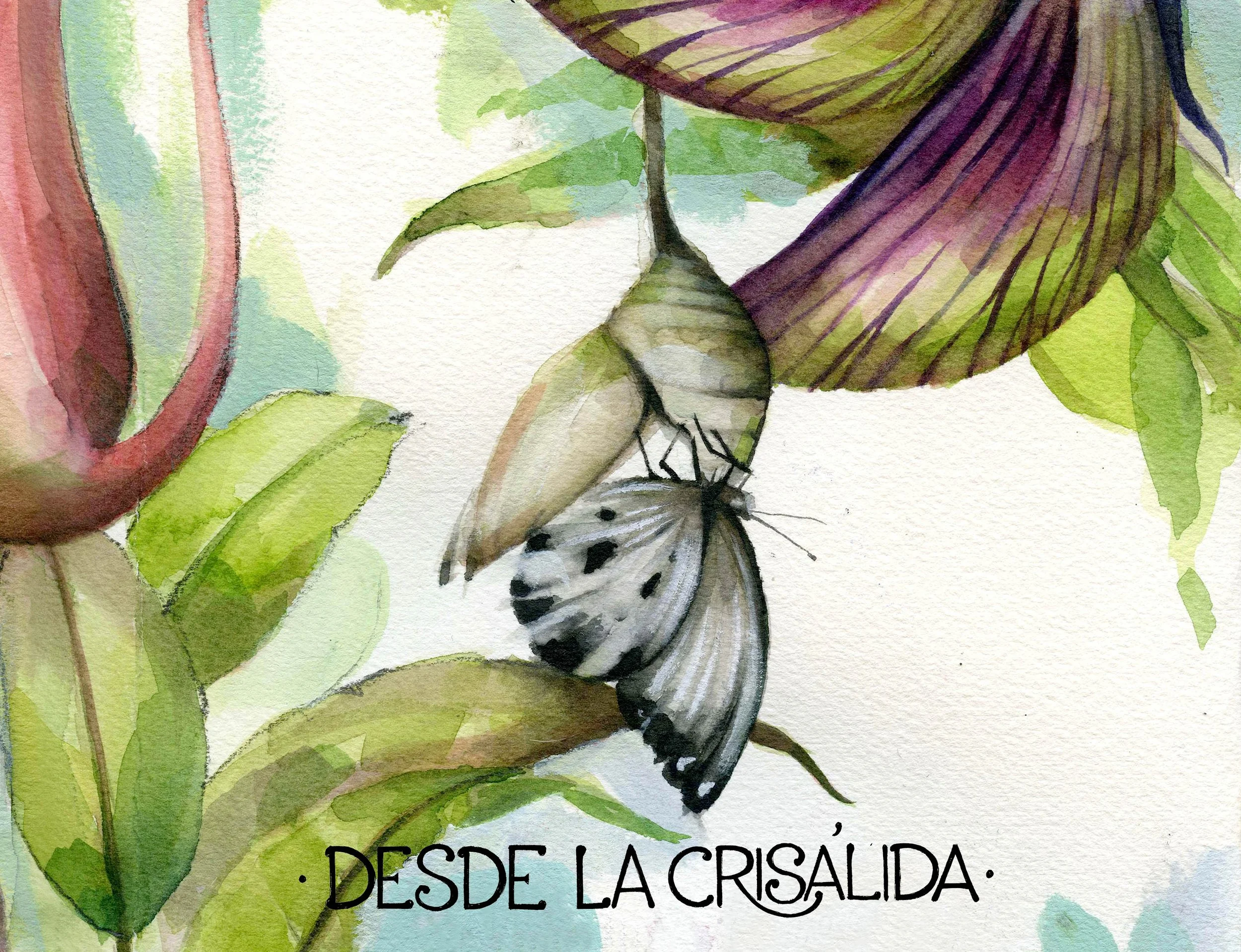 Desde la Crisálida