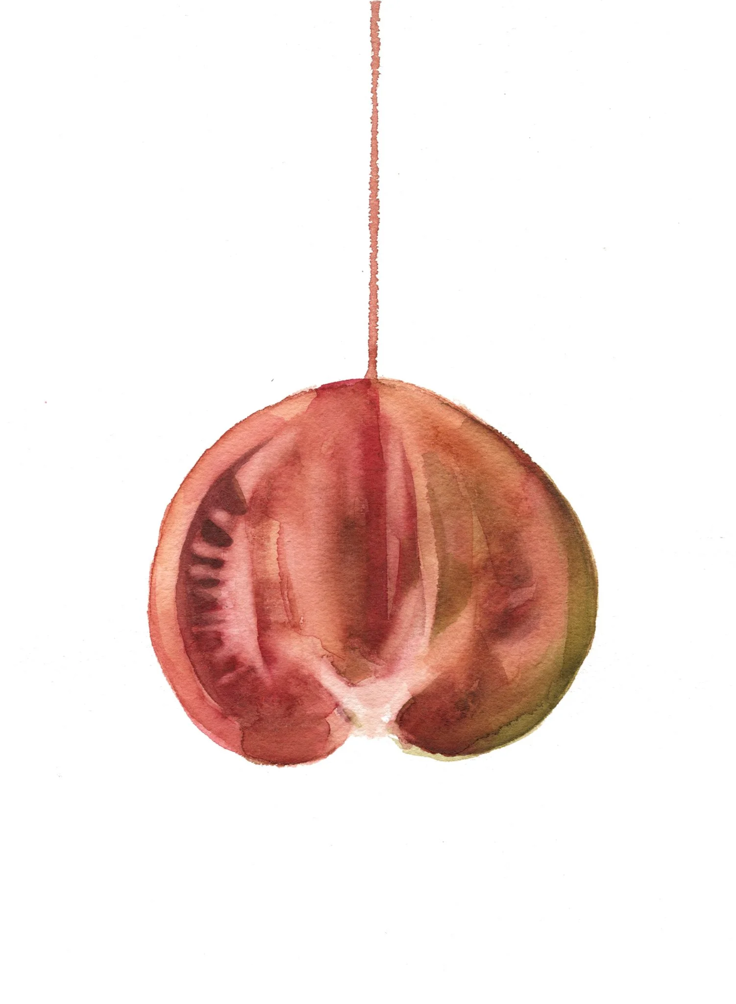 tomate verde1.jpg