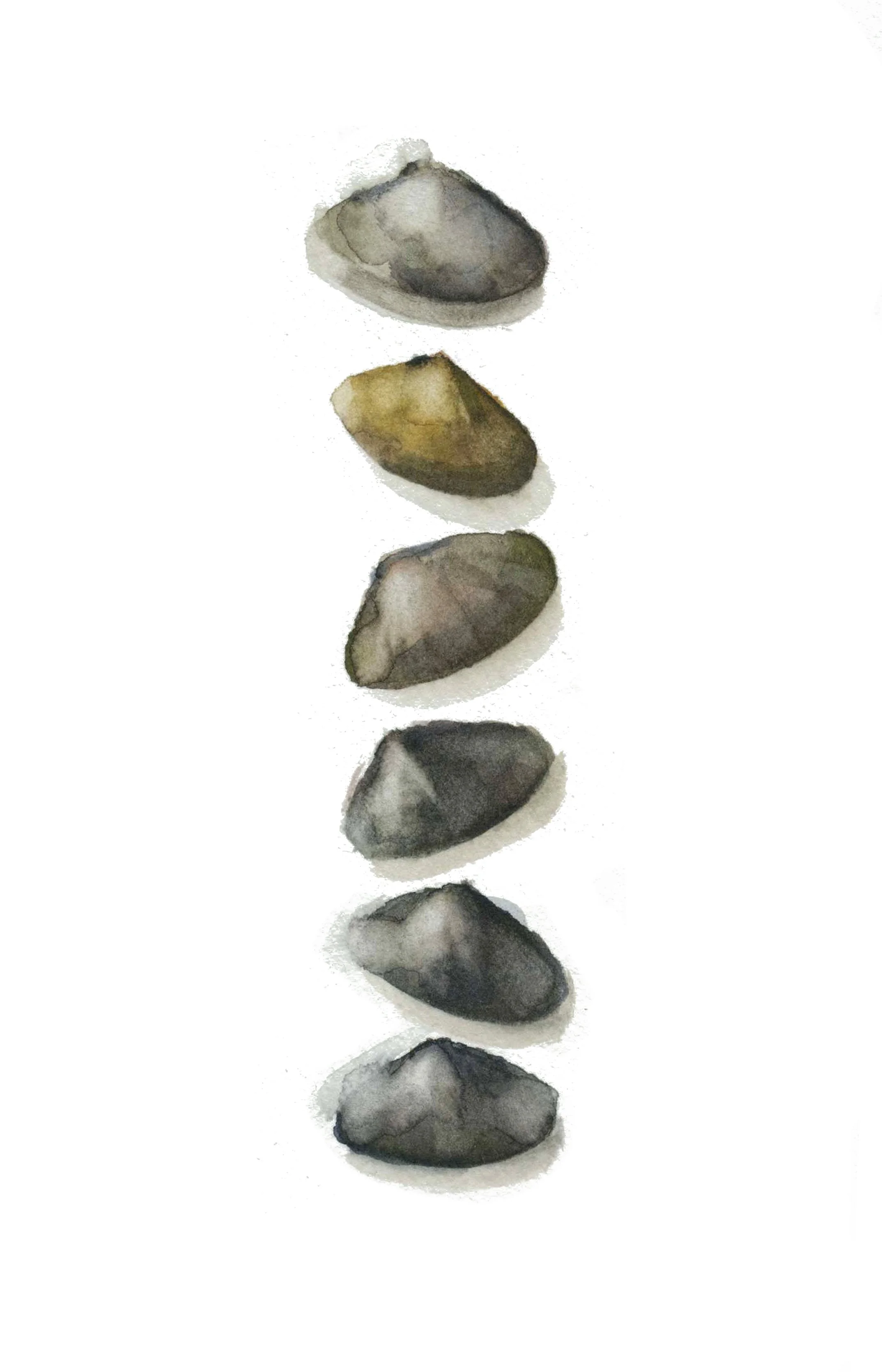 Coquinas