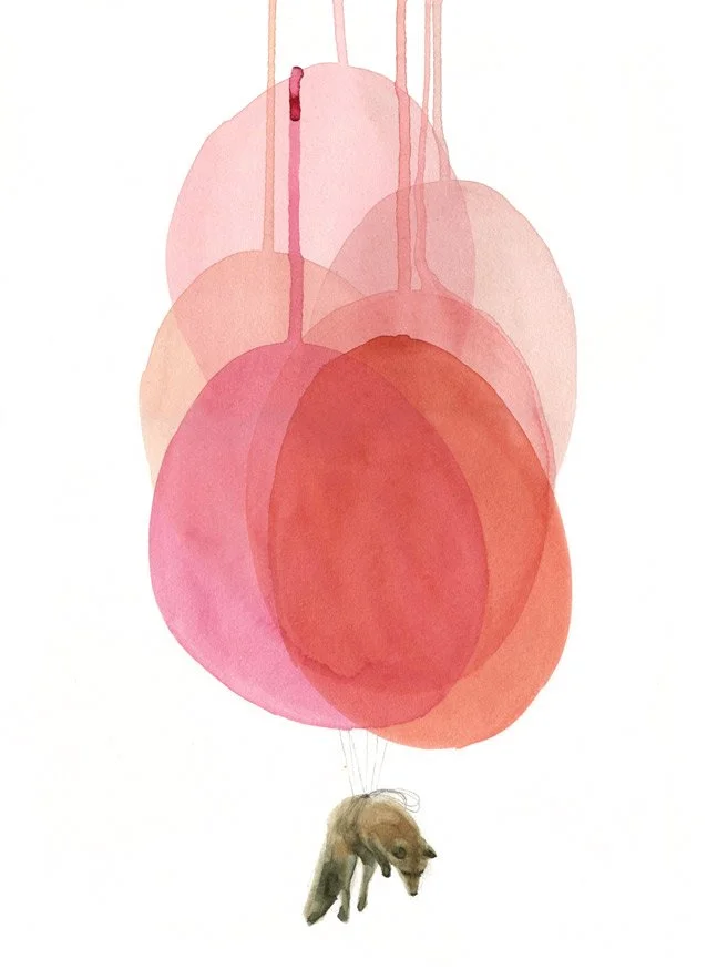 VUELOZORRO_27XX37CM.jpg