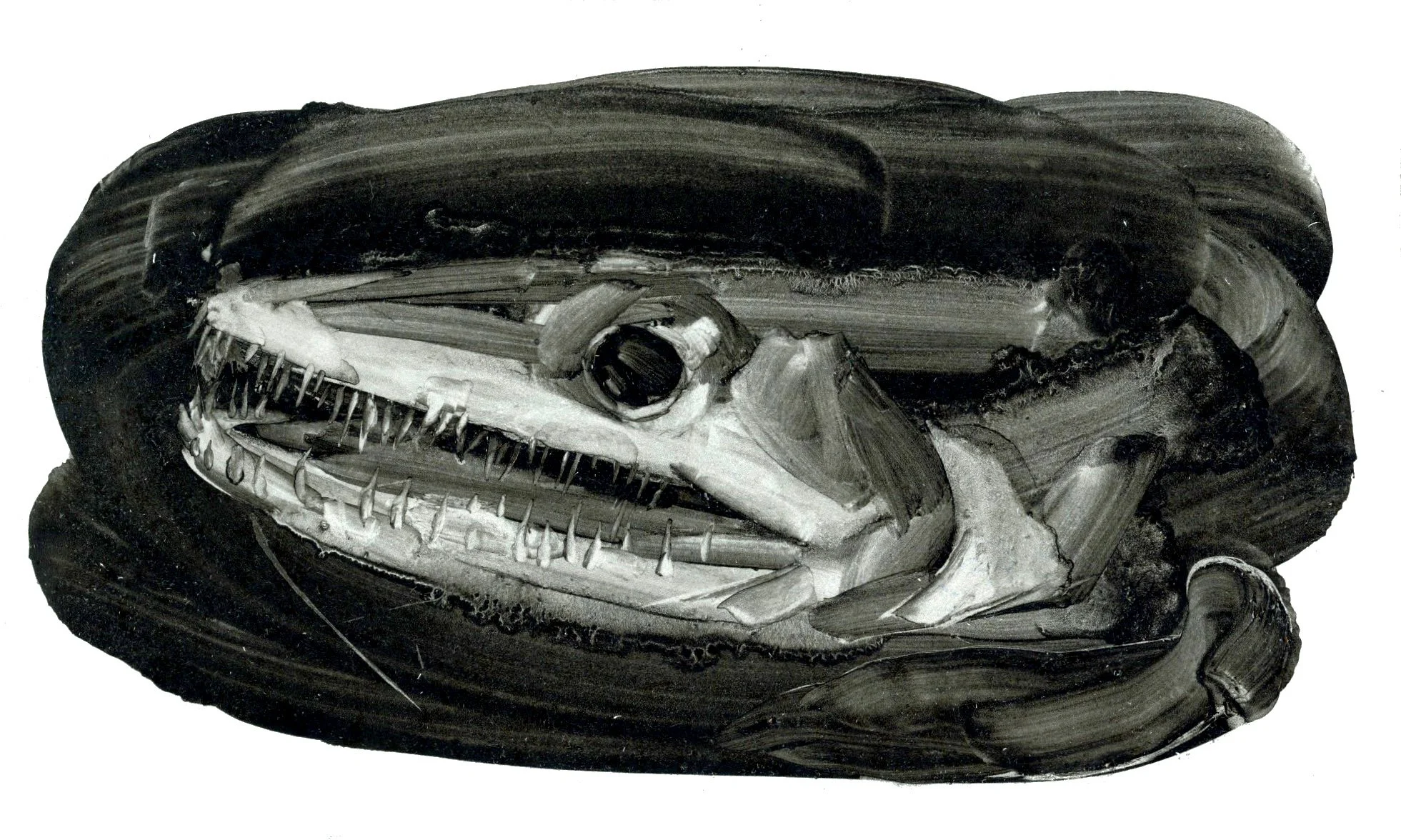 HOLA QUERIDA_ALGRAFIAPLANCHA_5.jpg