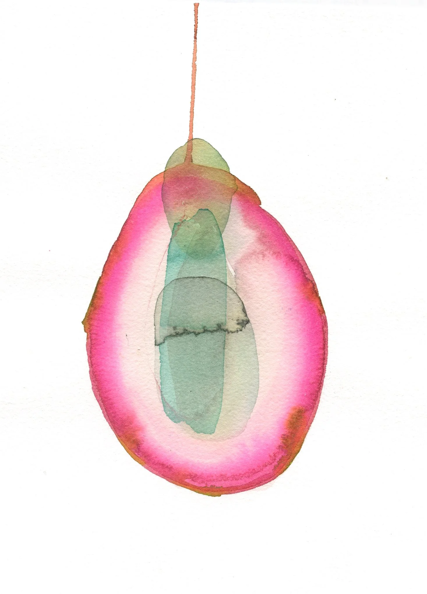 frutadeldragónrosa2.jpg