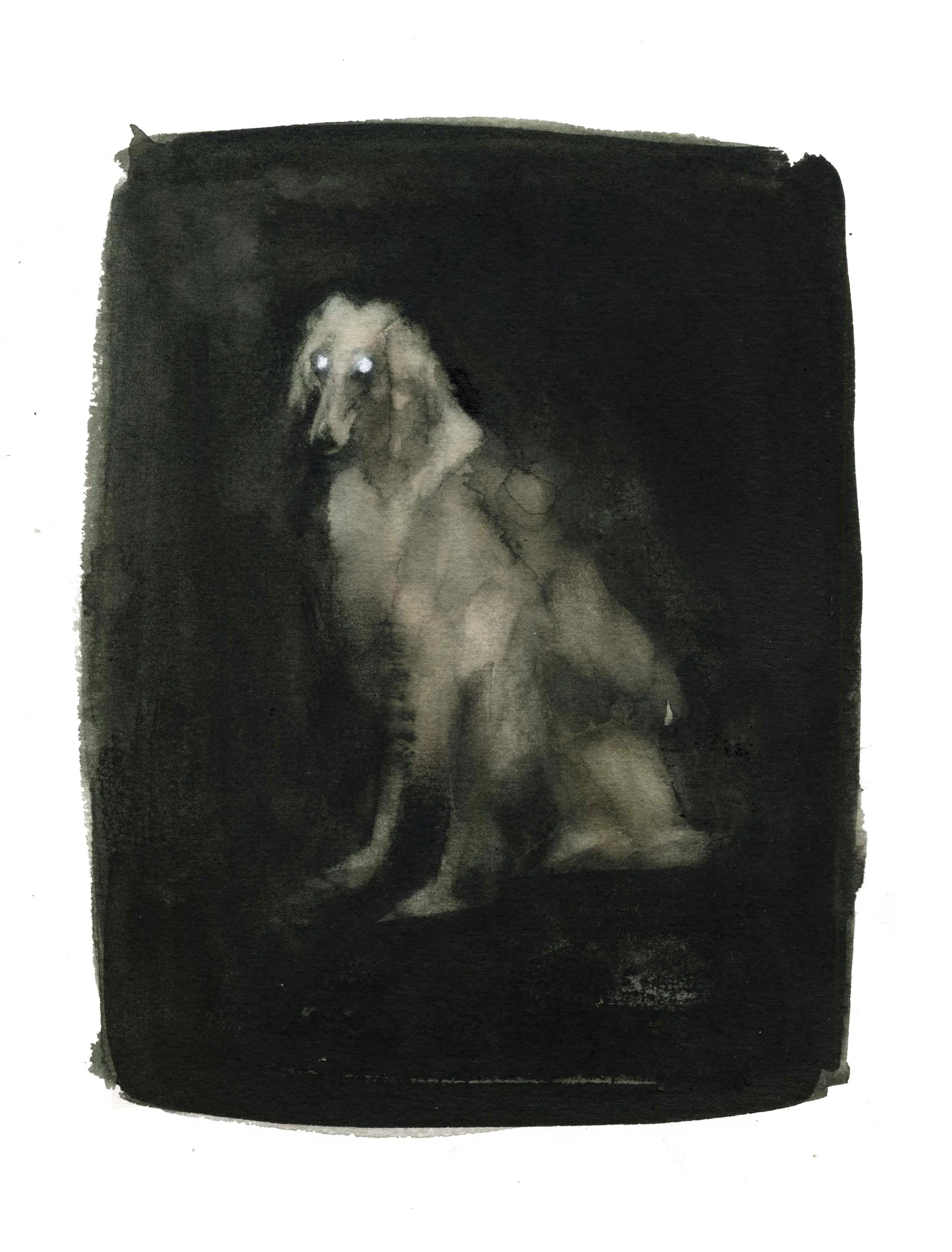 Animales fantasmas.jpg