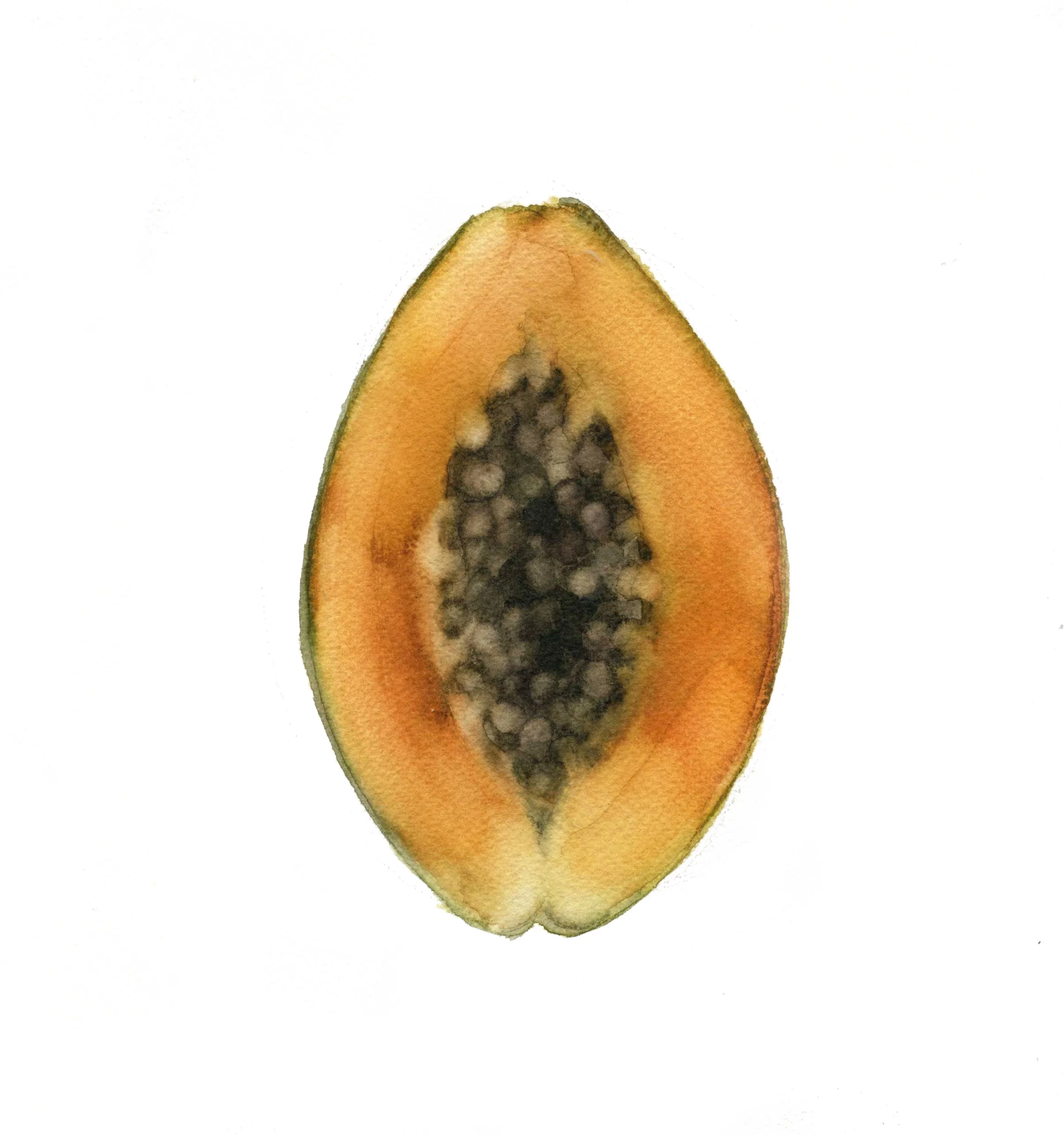 Papaya