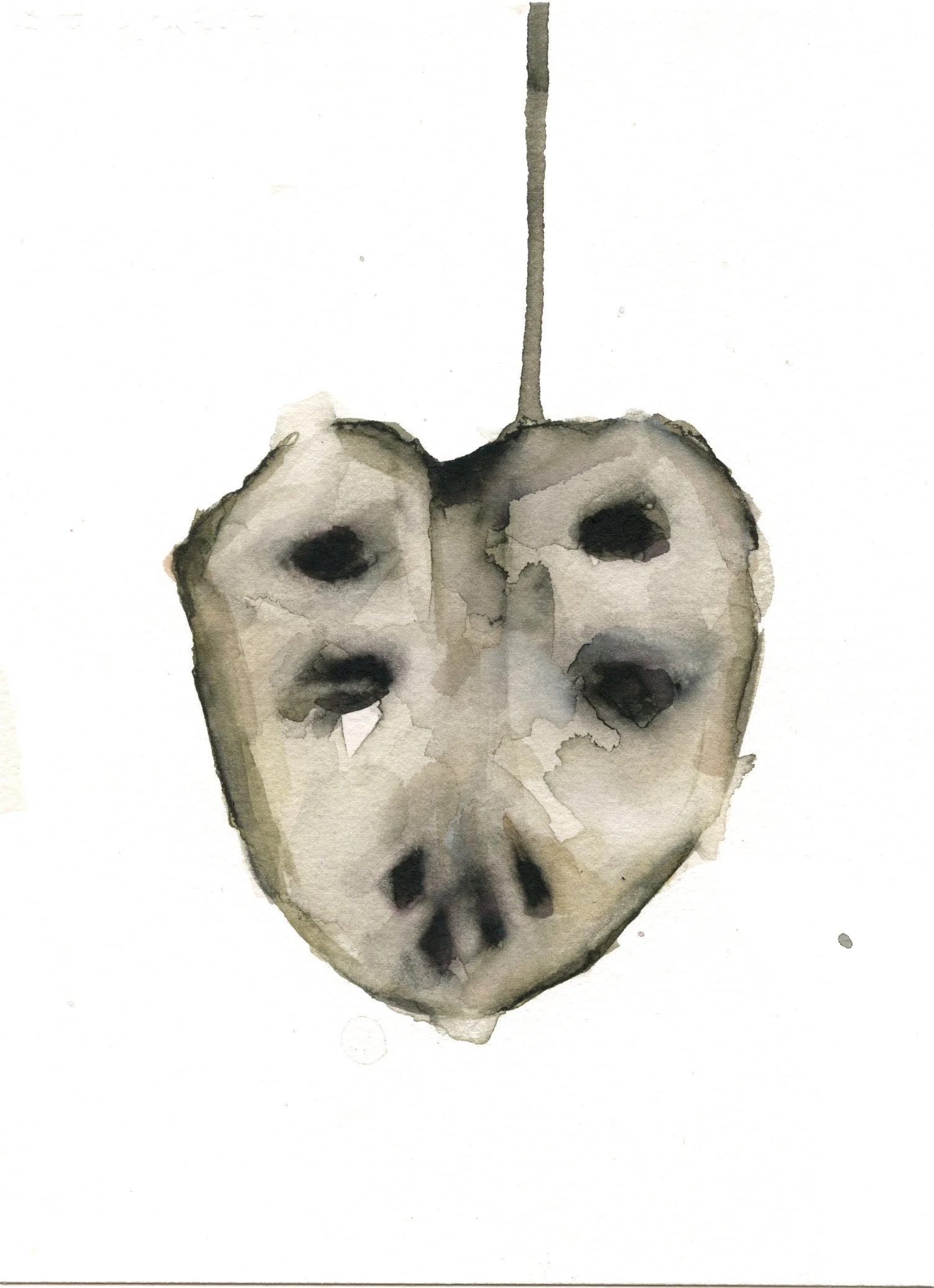 chirimoya1 copia.jpg