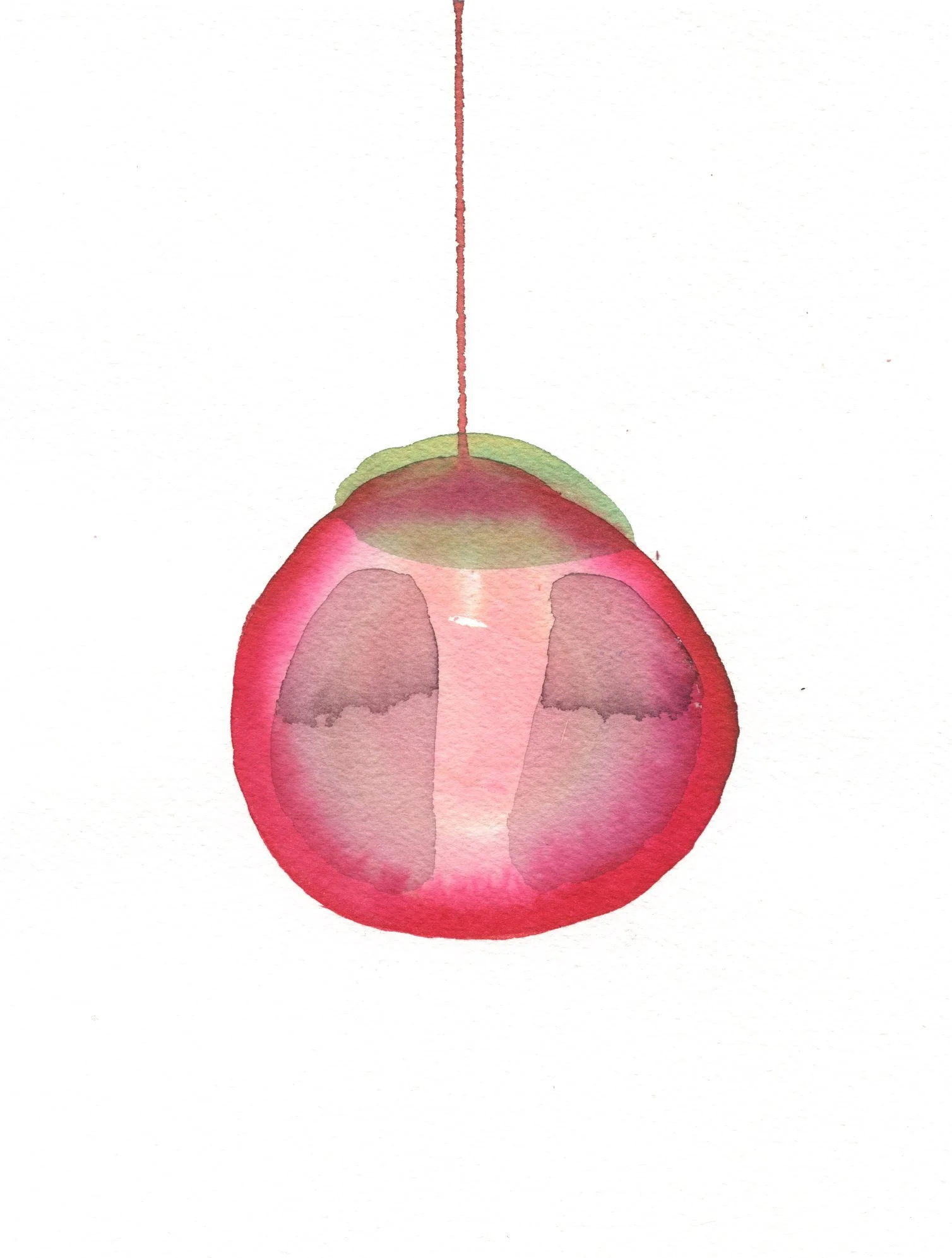 tomate rojo2.jpg