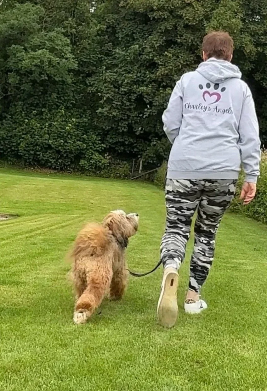 Teach Your Dog a Reliable “Let’s Go” Cue (and Walk Away Calmly from Distractions)