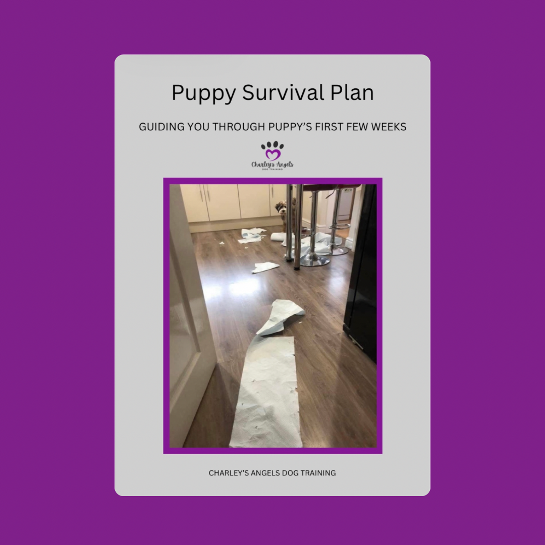 Puppy Survival plan digital guide for new puppy owners