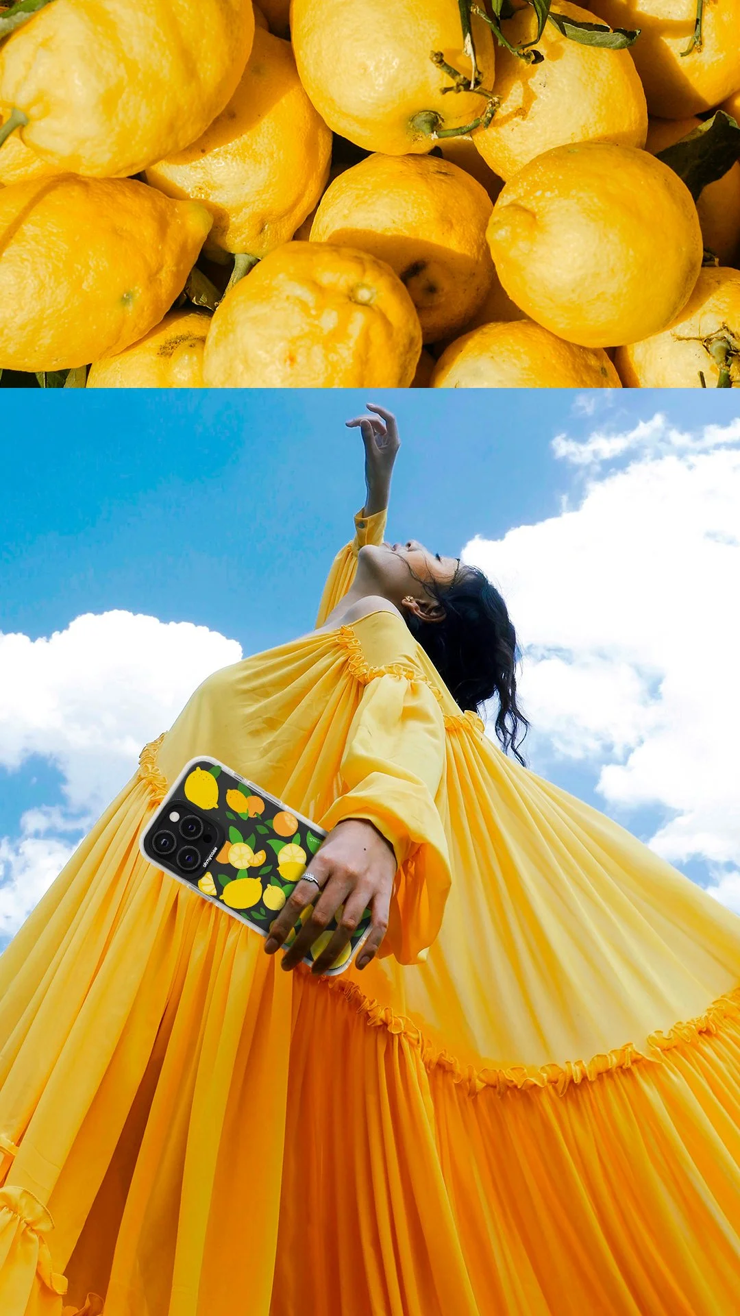 MS_coque-citron.jpg