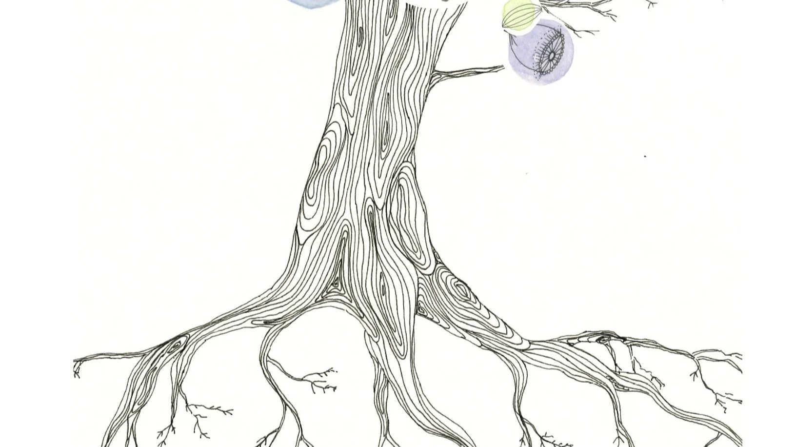 Design ohne Titel-2.jpg