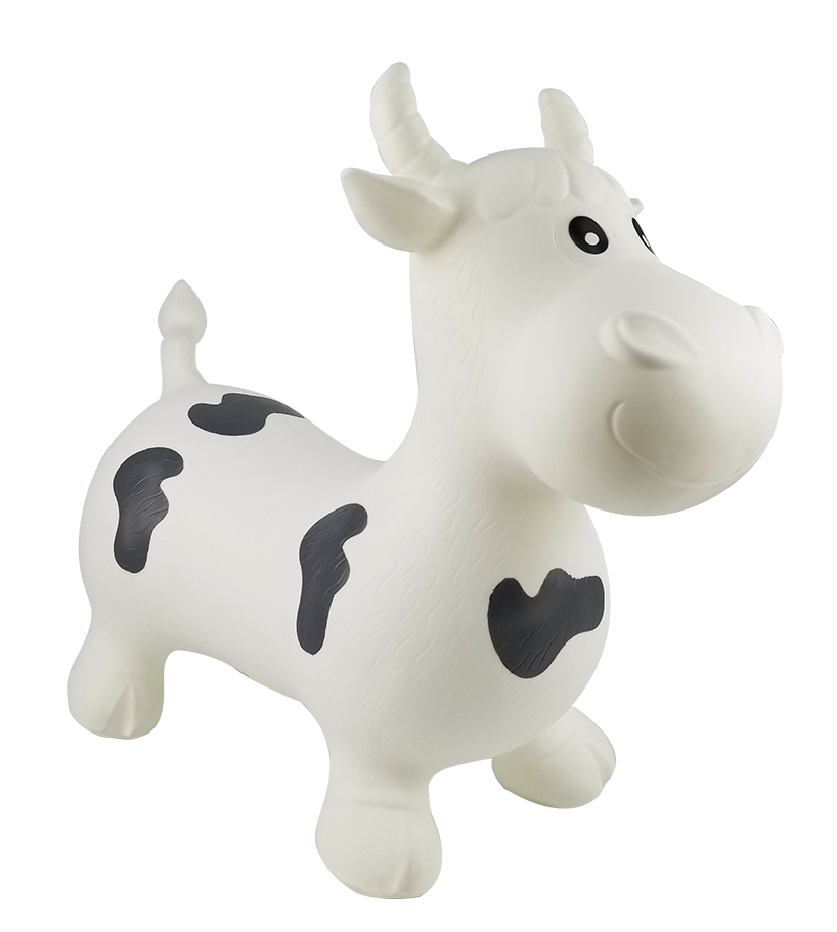 BIG  FACE WHITE BULL